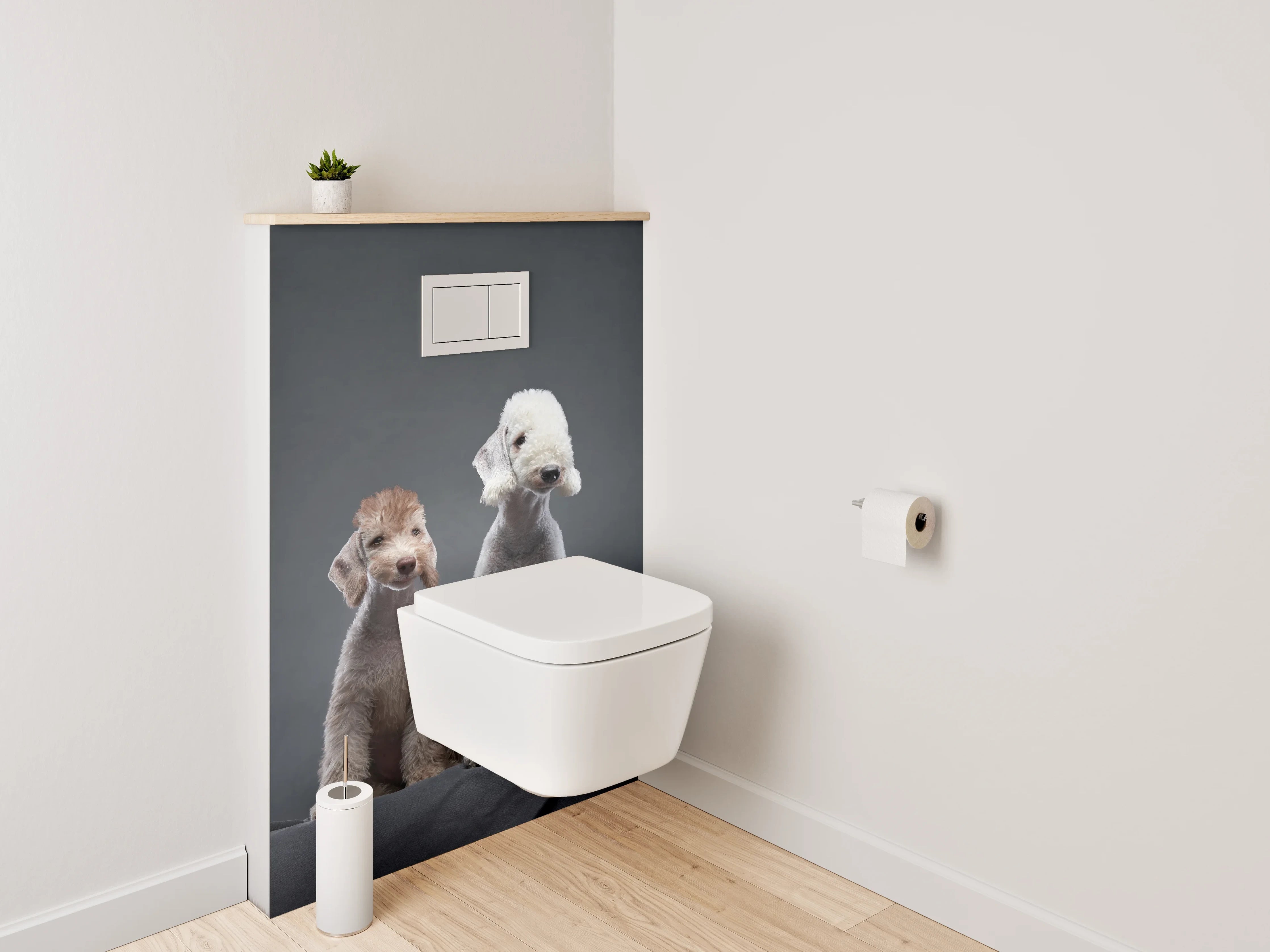 WC-Rückwand - Zwei Bedlington Terrier auf dunklem Hintergrund