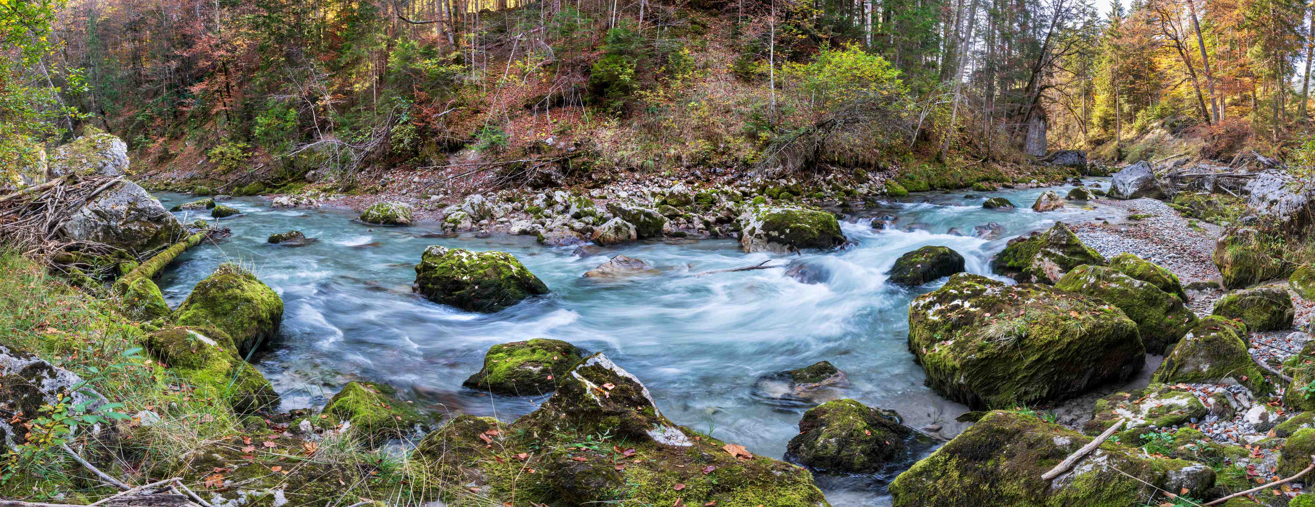 Wandverkleidung Bad-Bach im Wald mit moosbedeckten Steinen