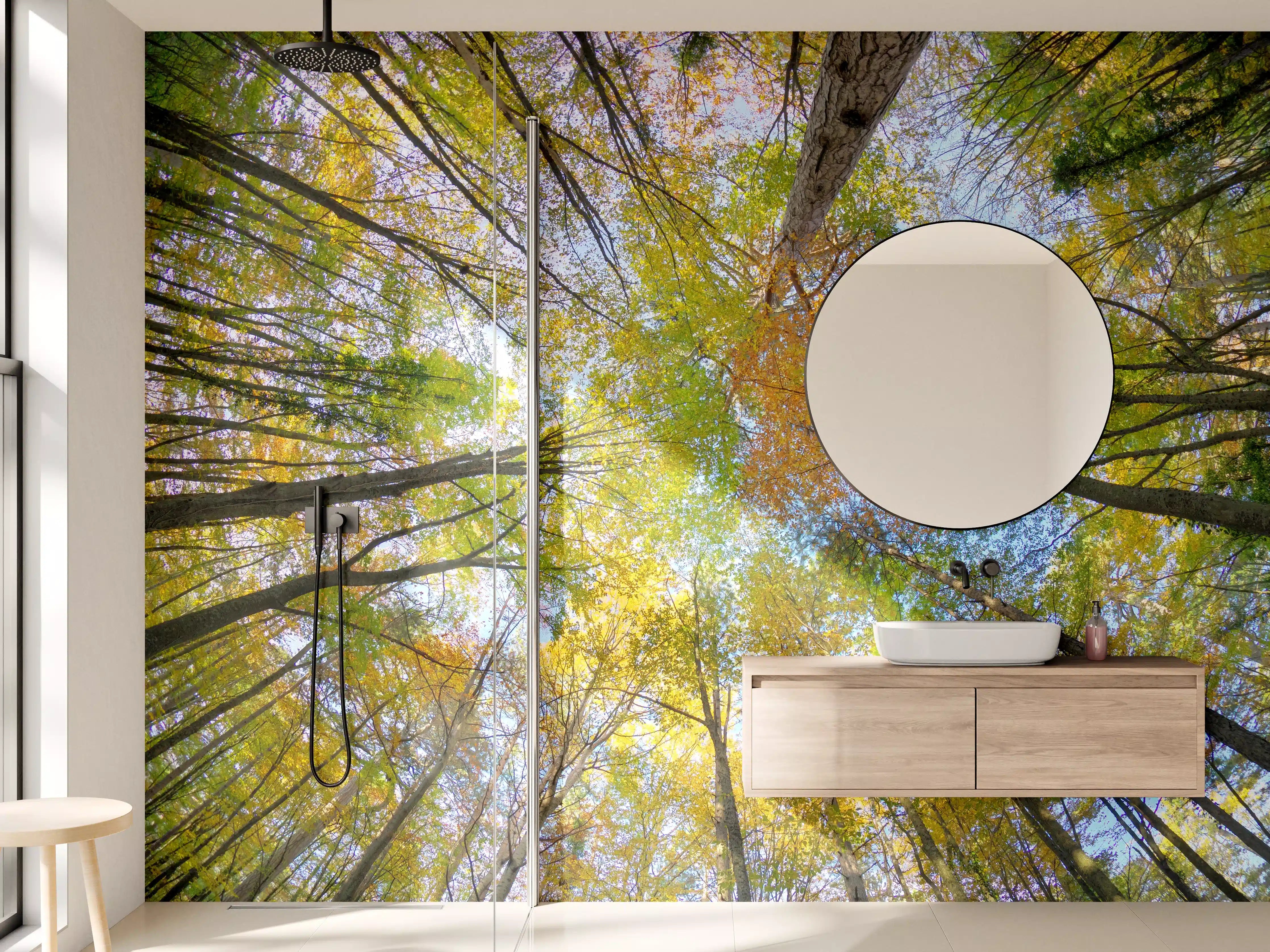 Wandverkleidung Bad - Bunte Laubbäume im Herbst, Blick nach oben