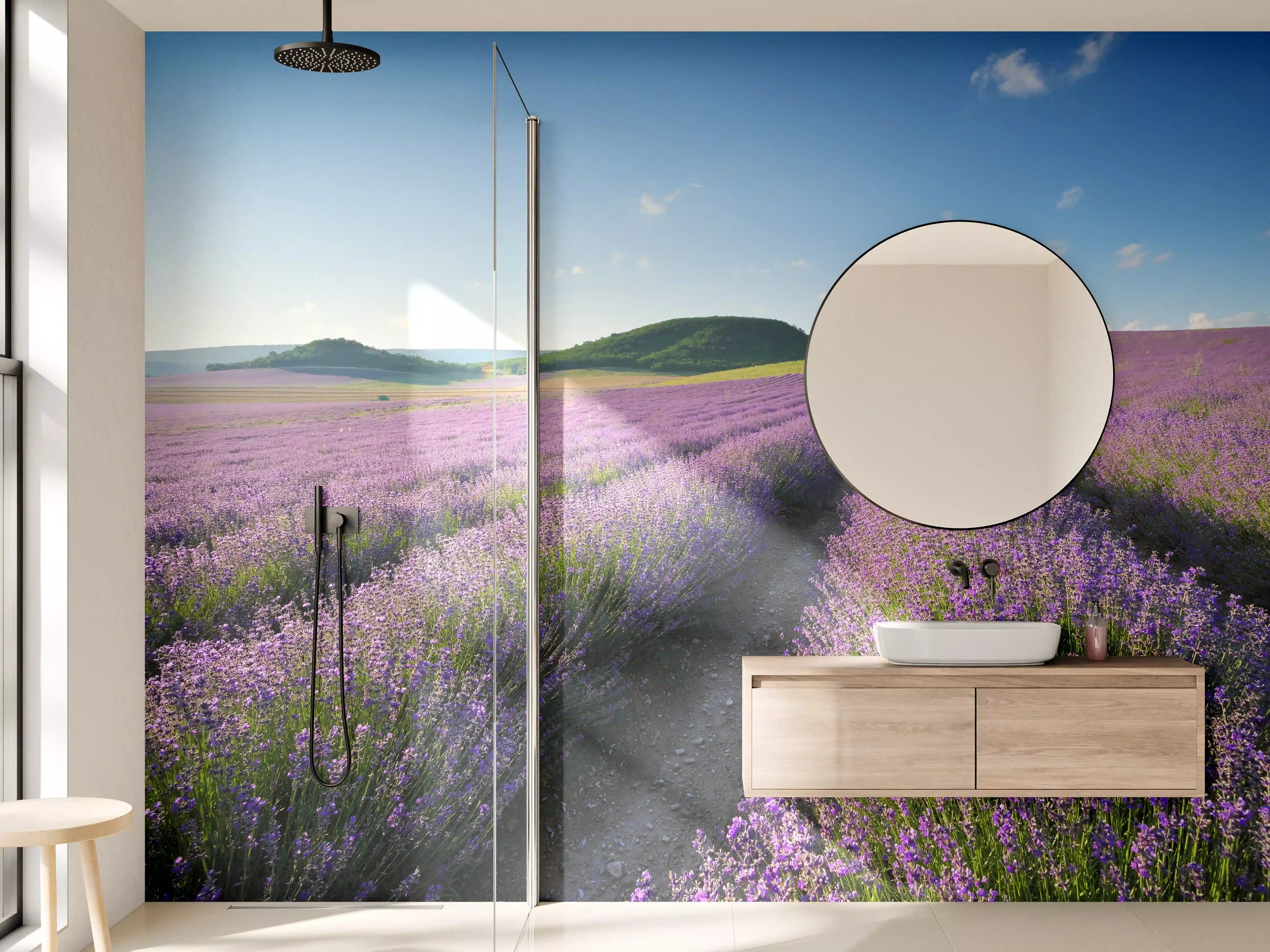 Wandverkleidung Bad - Bunte Lavendelfelder bei Sonnenschein