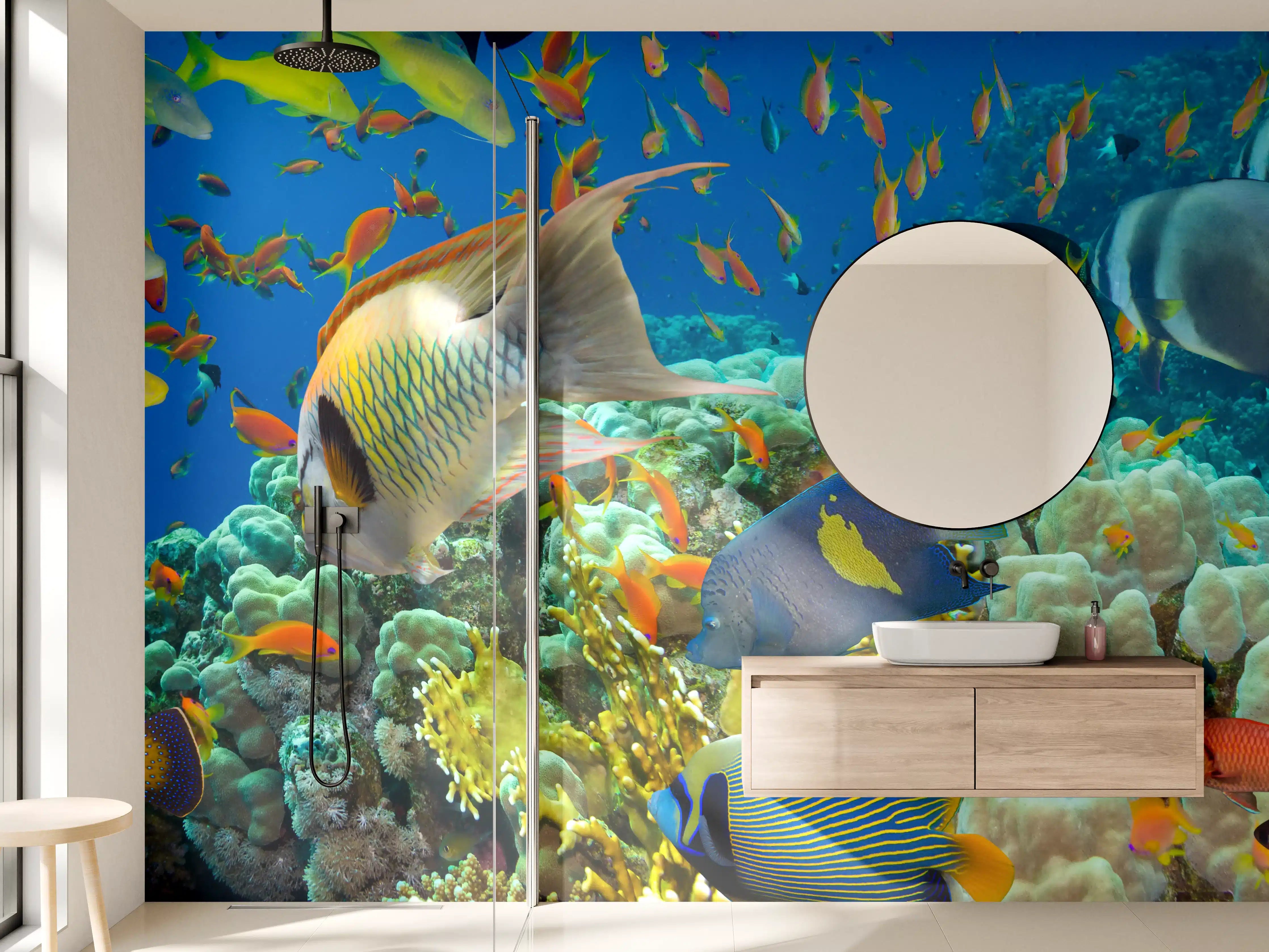 Wandverkleidung Bad - Buntes Korallenriff mit Fischen