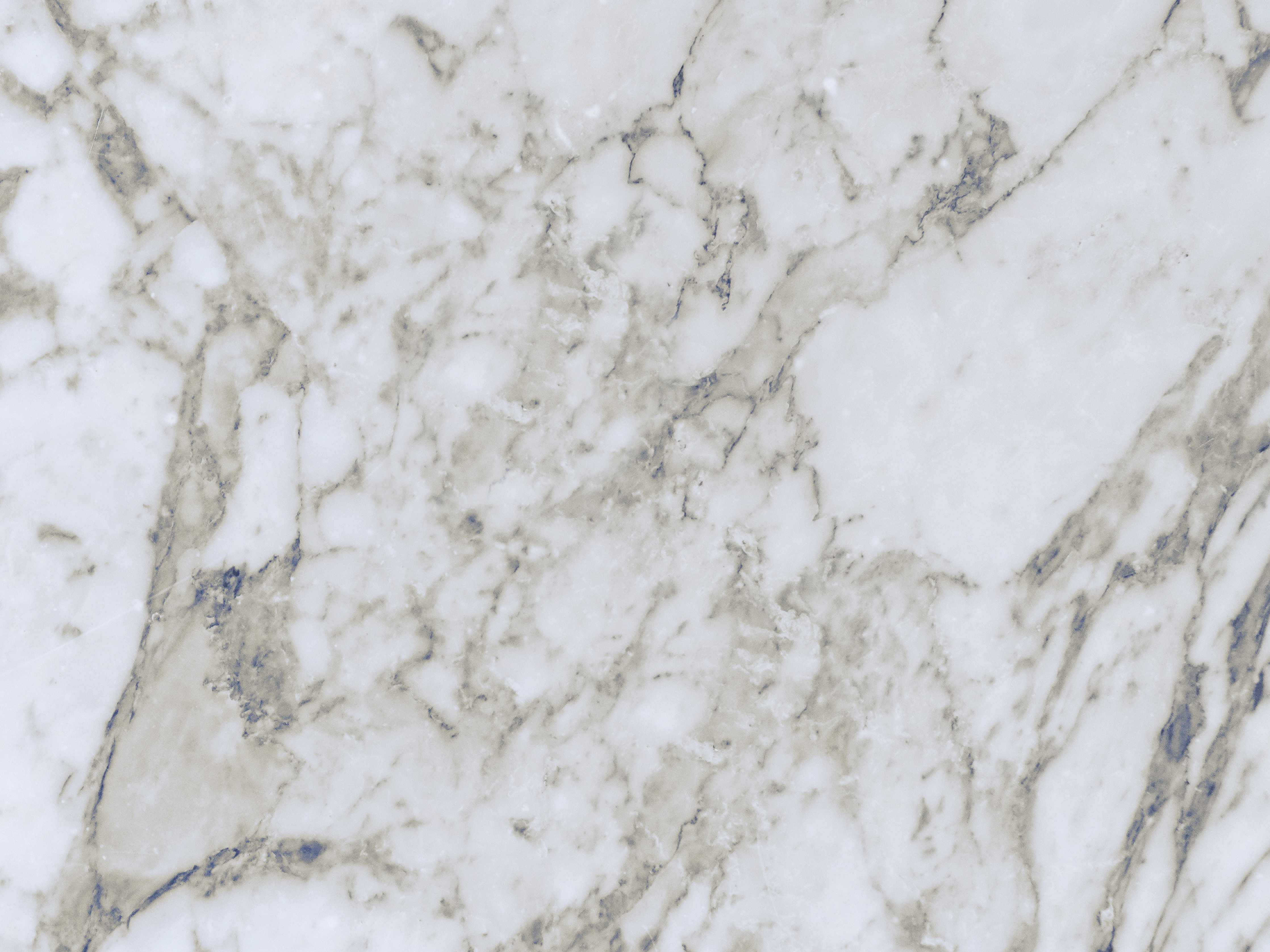 Wandverkleidung Bad-Elegante weiße Marmor-Textur mit feinen grauen Adern