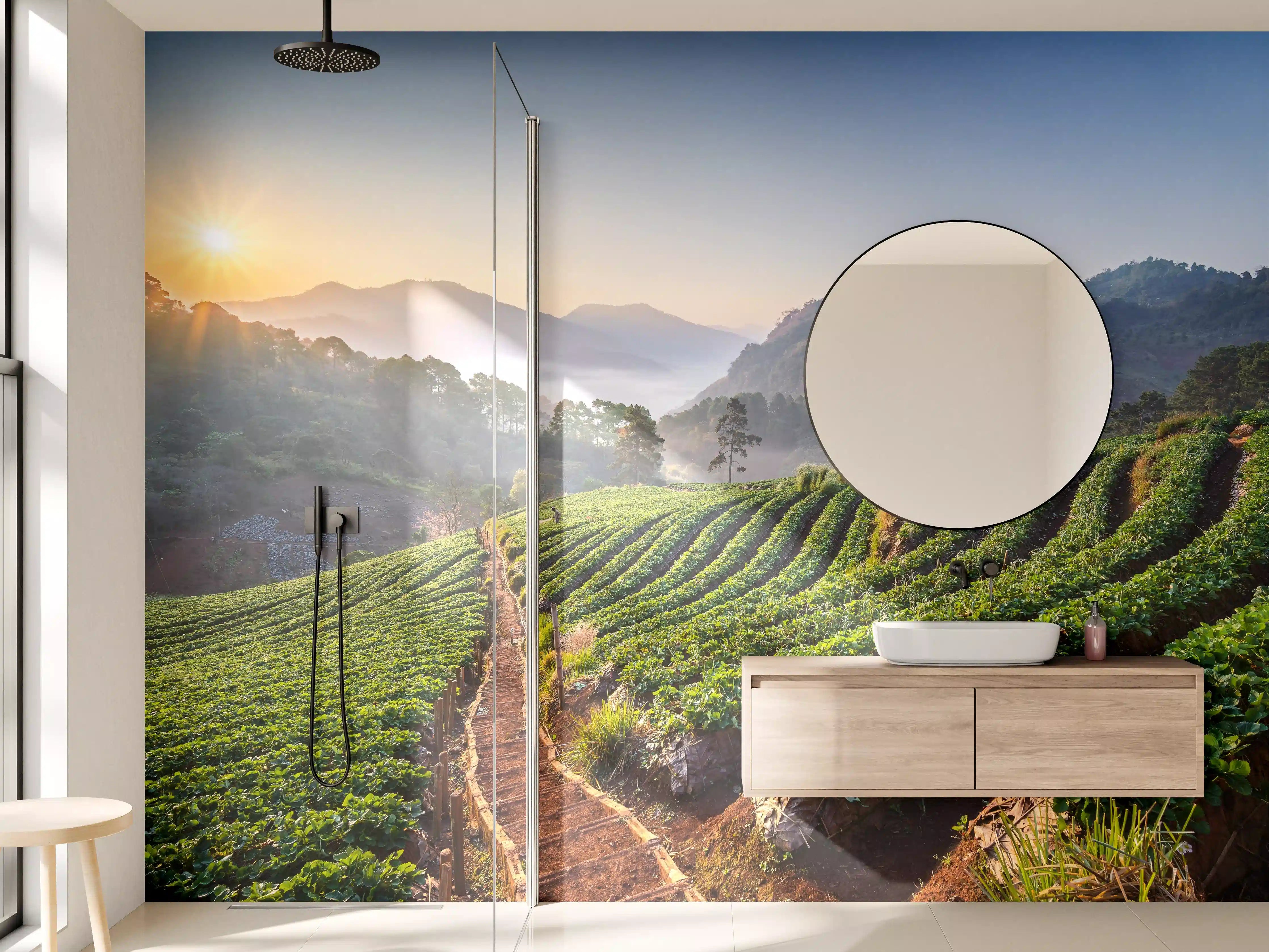 Wandverkleidung Bad - Erdbeerfeld in Chiang Mai