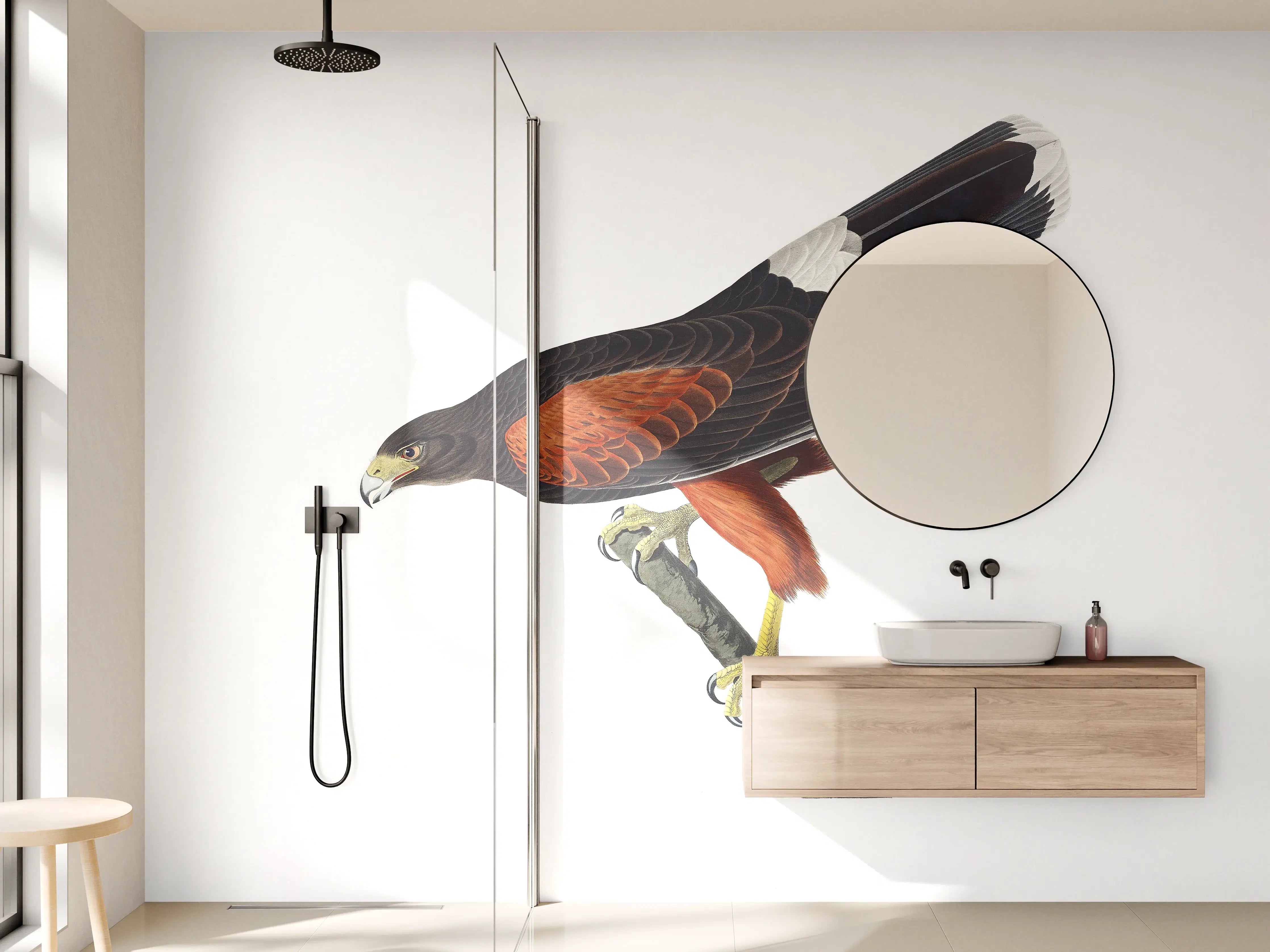 Wandverkleidung Bad - Falken Portrait - John James Audubon