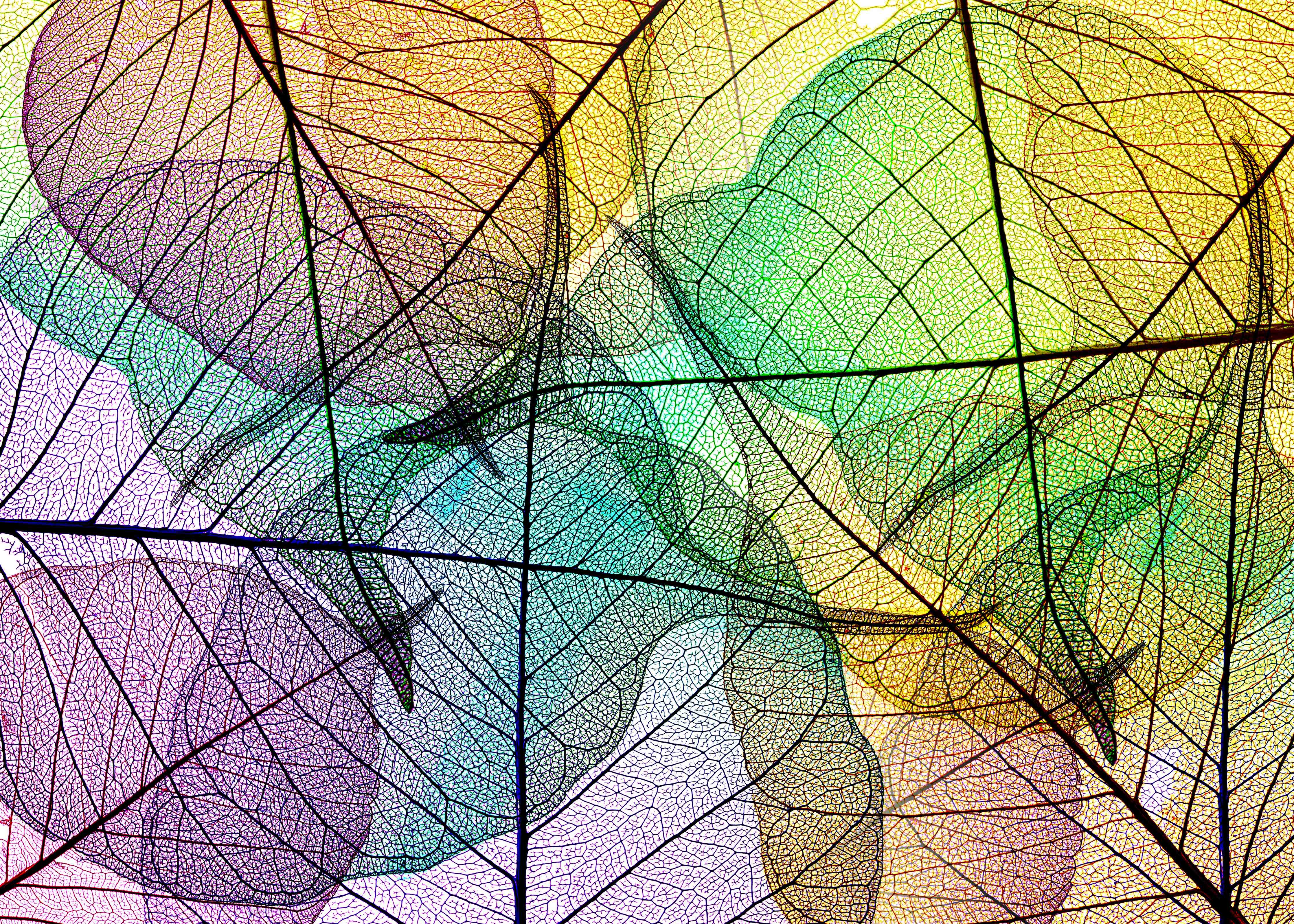 Wandverkleidung Bad-Farbenfrohe Laubtextur auf Weiß