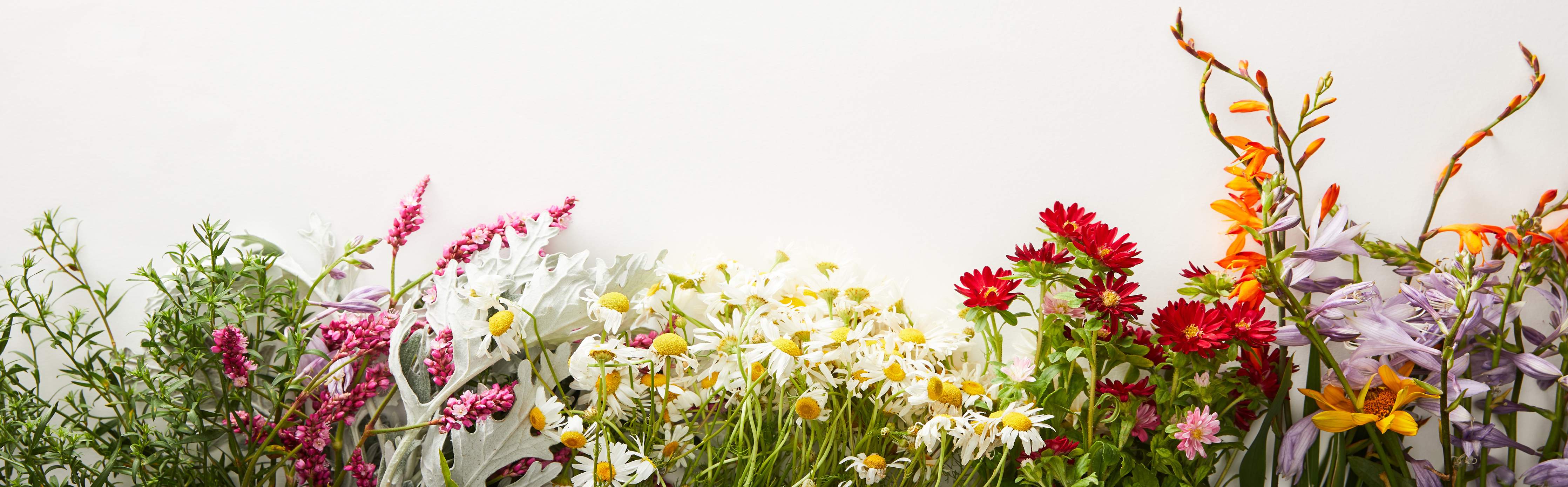 Wandverkleidung Bad-Farbenfroher Blumengarten mit bunten Blumen