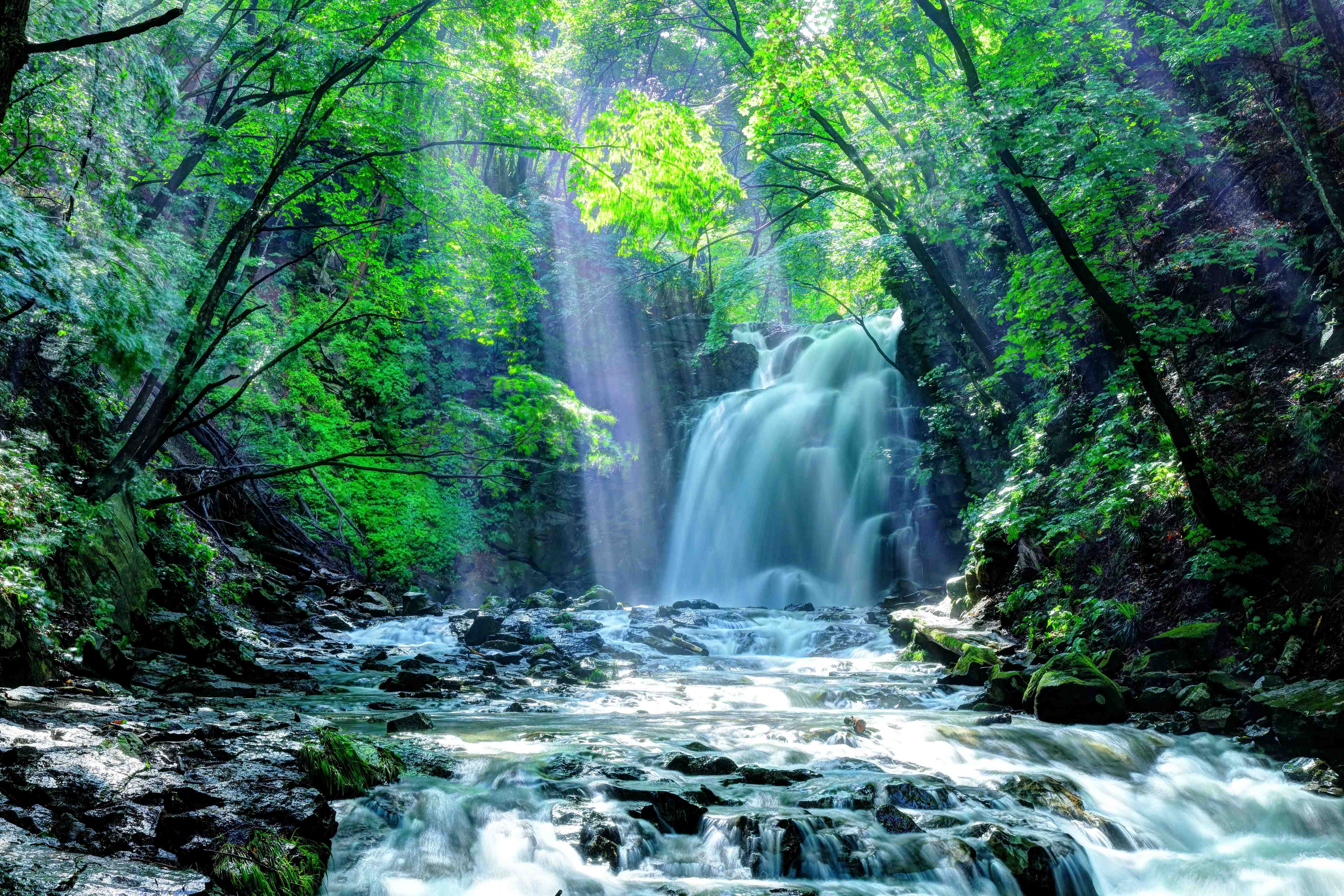 Wandverkleidung Bad-Friedlicher Wasserfall im Wald von Asama