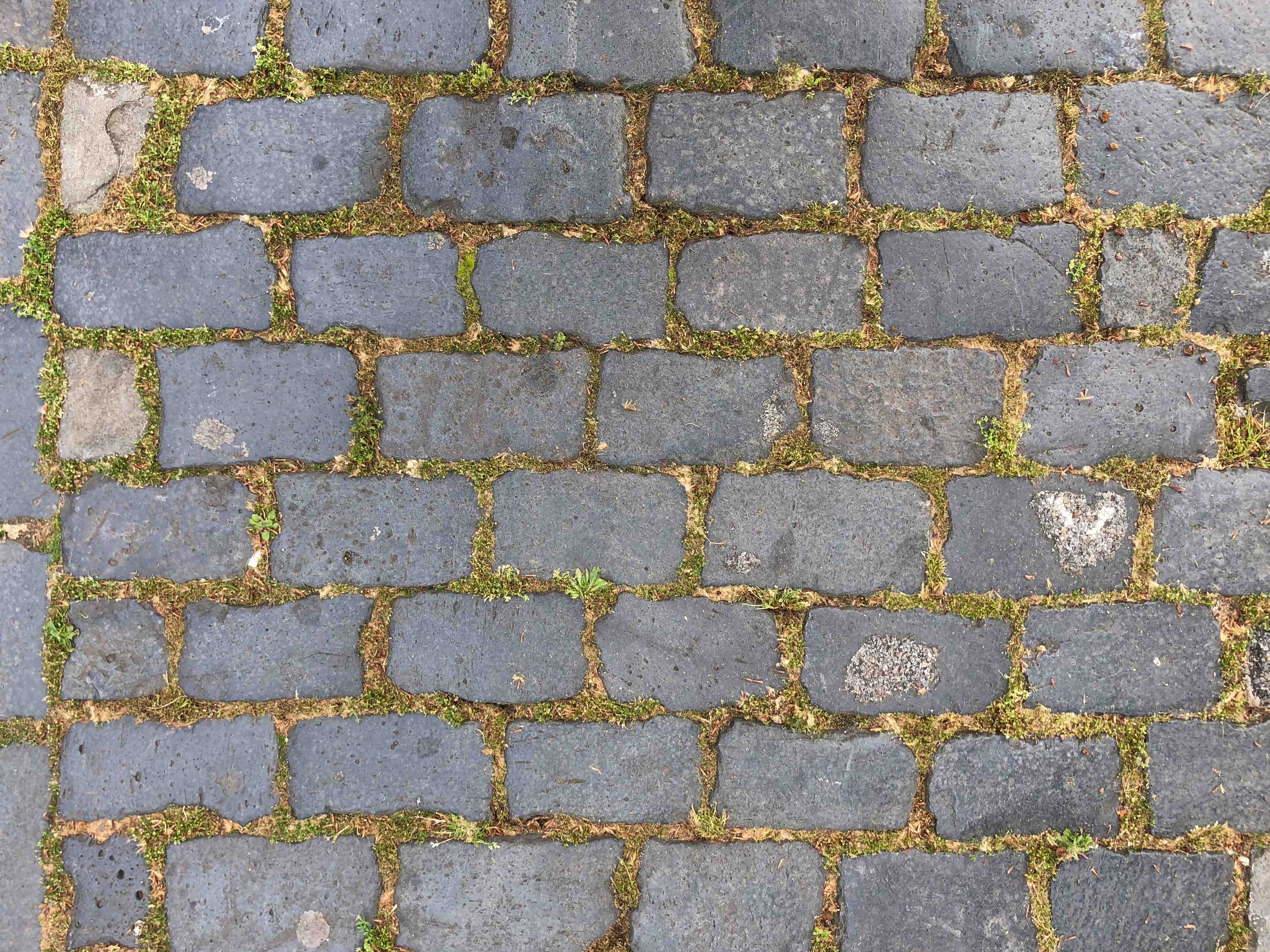 Wandverkleidung Bad-Graue Kopfsteinpflaster mit Moosbewuchs