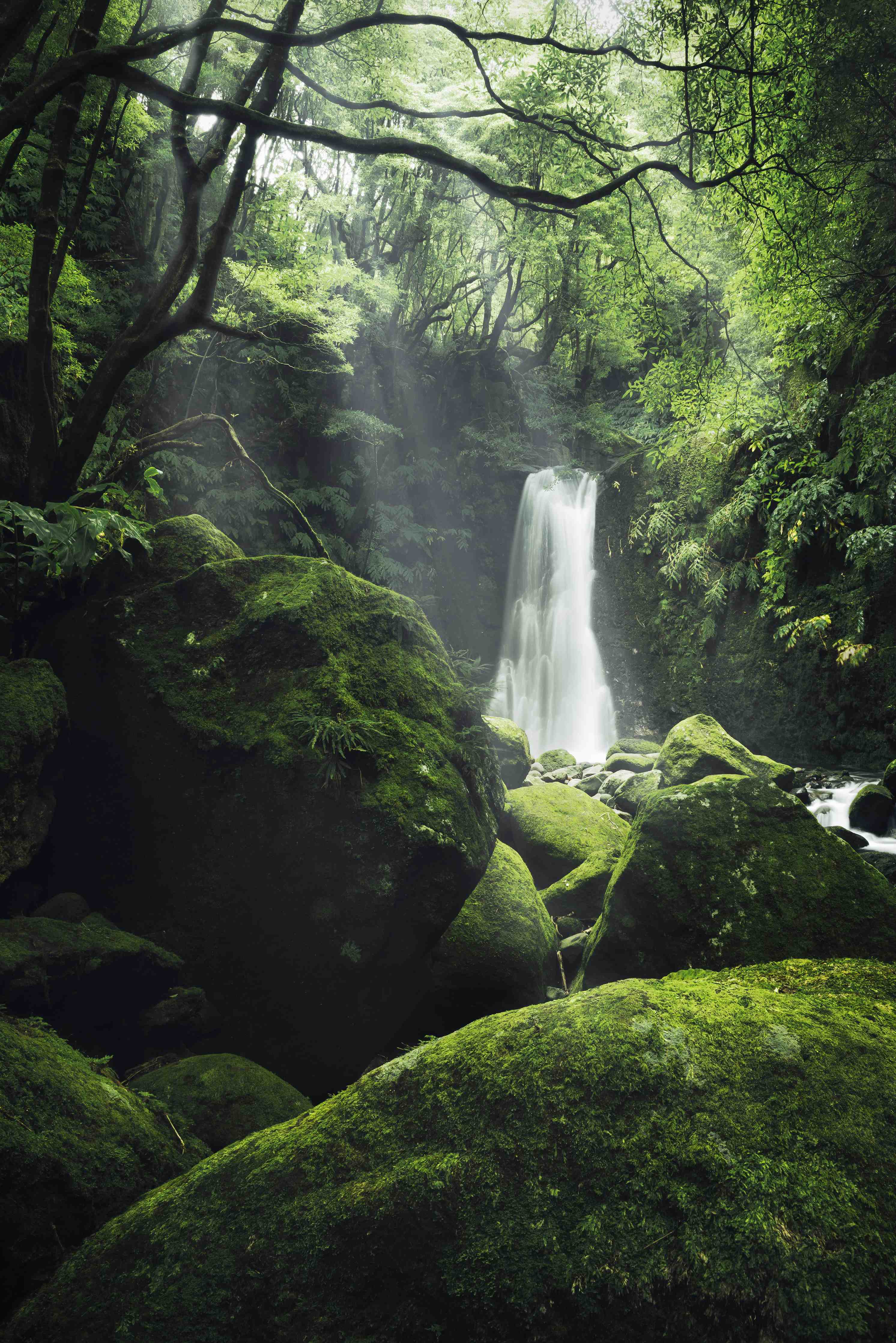Wandverkleidung Bad-Grüner Mystik-Wasserfall