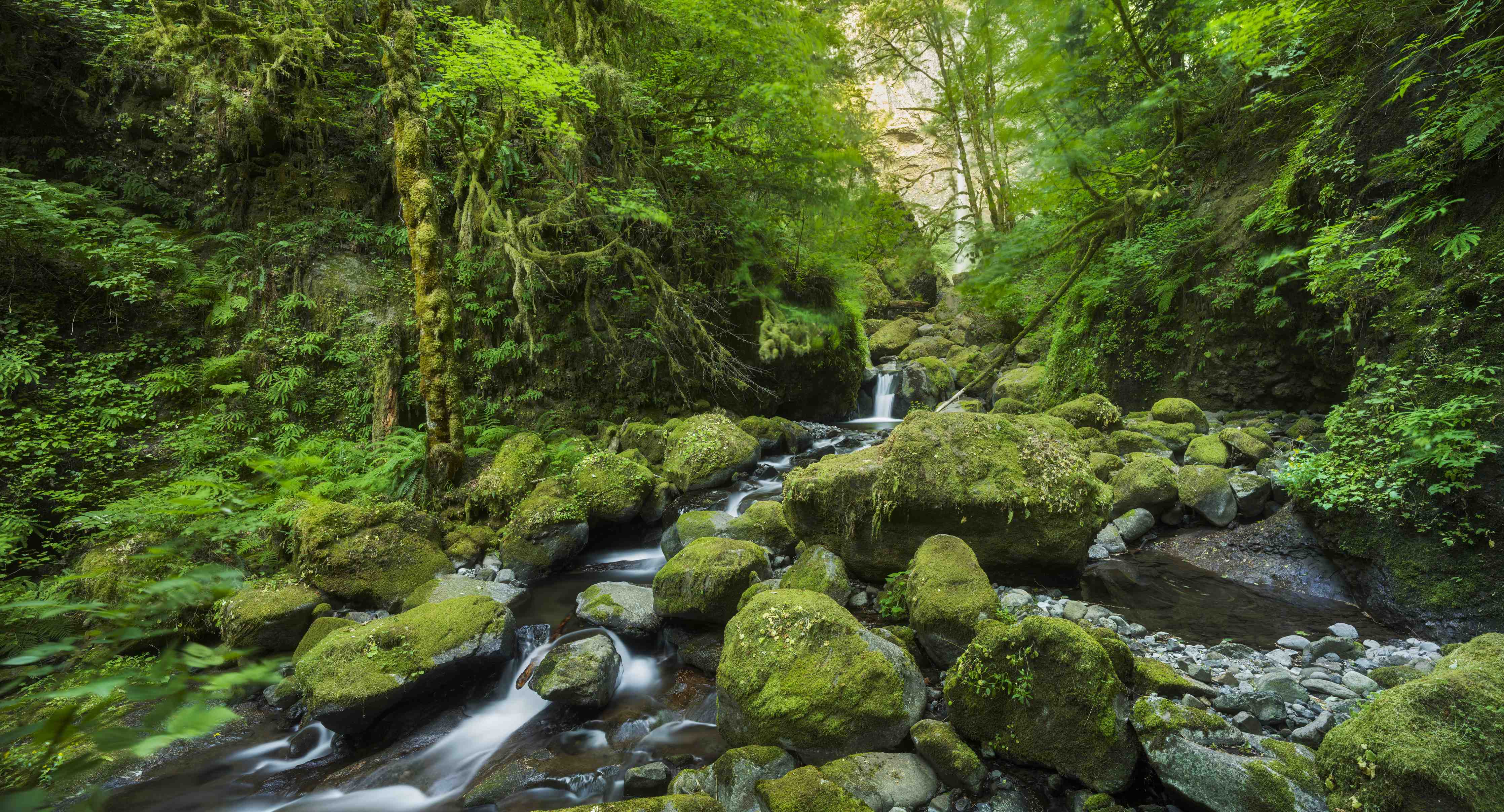 Wandverkleidung Bad-Grüner Waldfluss mit Steinen und Wasserfall