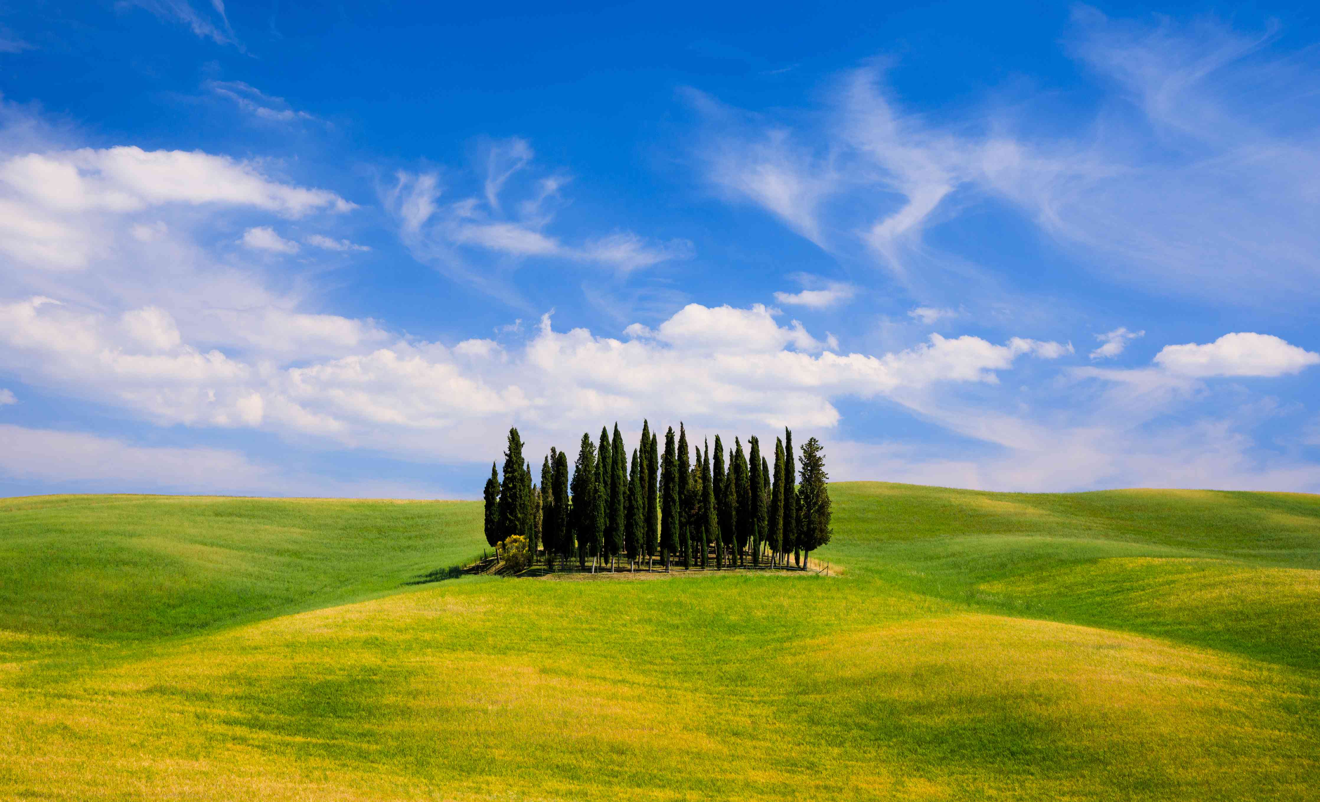 Wandverkleidung Bad-Grünes Hügelpanorama mit Wolken und Baumgruppe