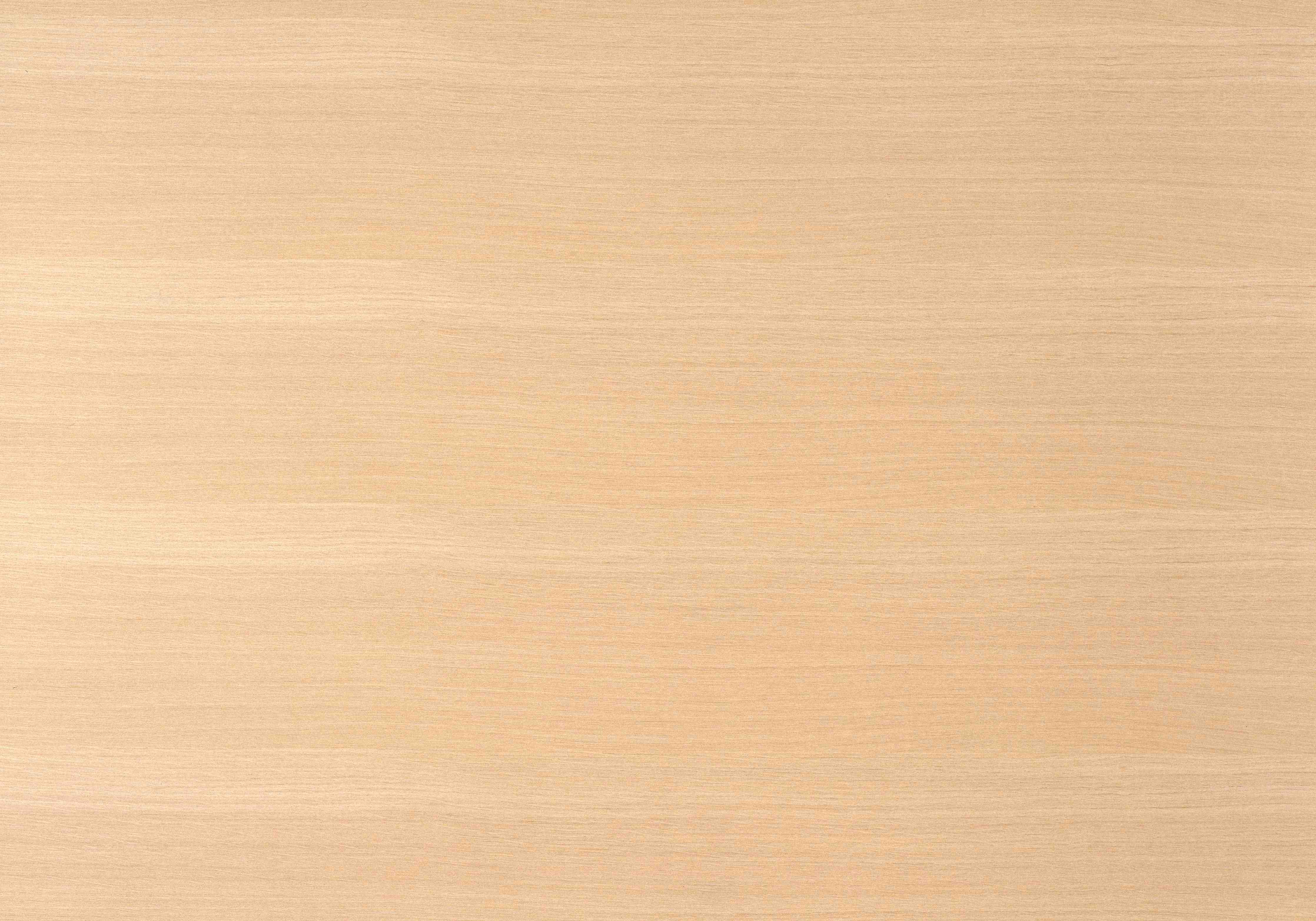 Wandverkleidung Bad-Helles, Holz-Optik mit feiner Struktur