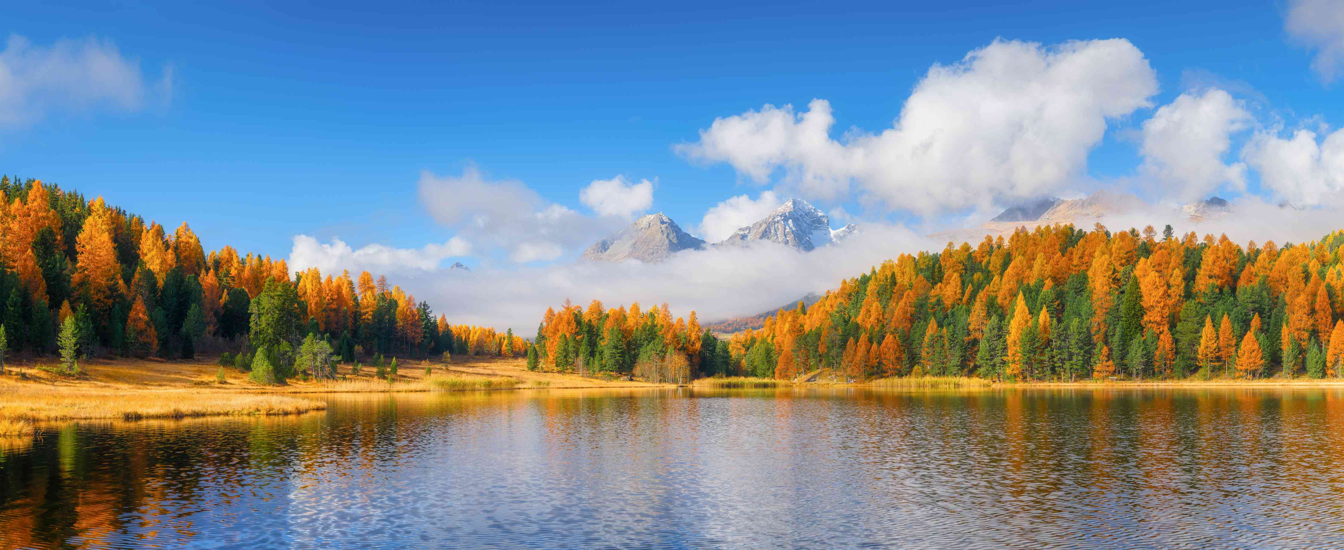 Wandverkleidung Bad-Herbstliche Landschaft am See