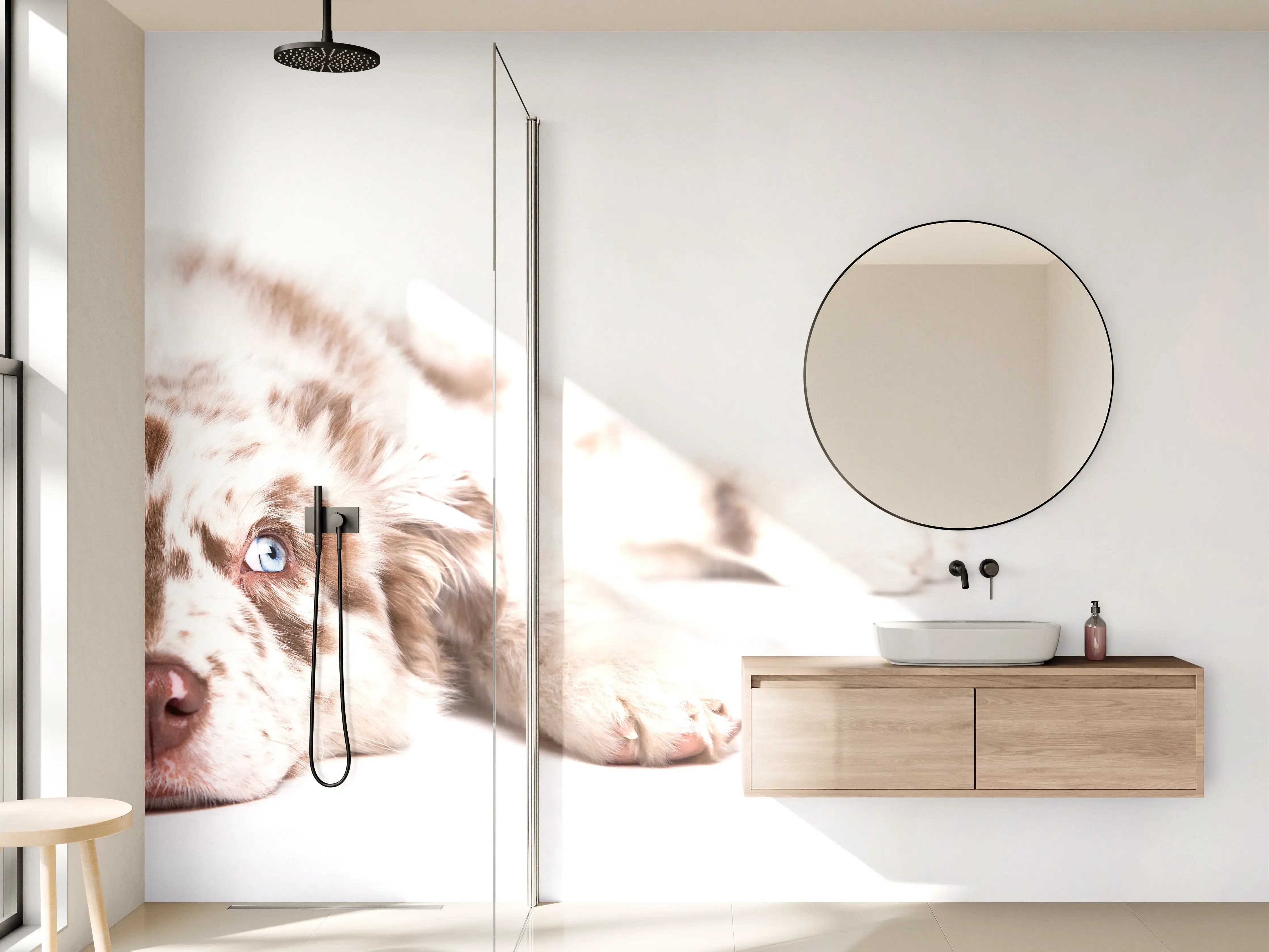 Wandverkleidung Bad - Hunde Portrait - Australian Shepherd