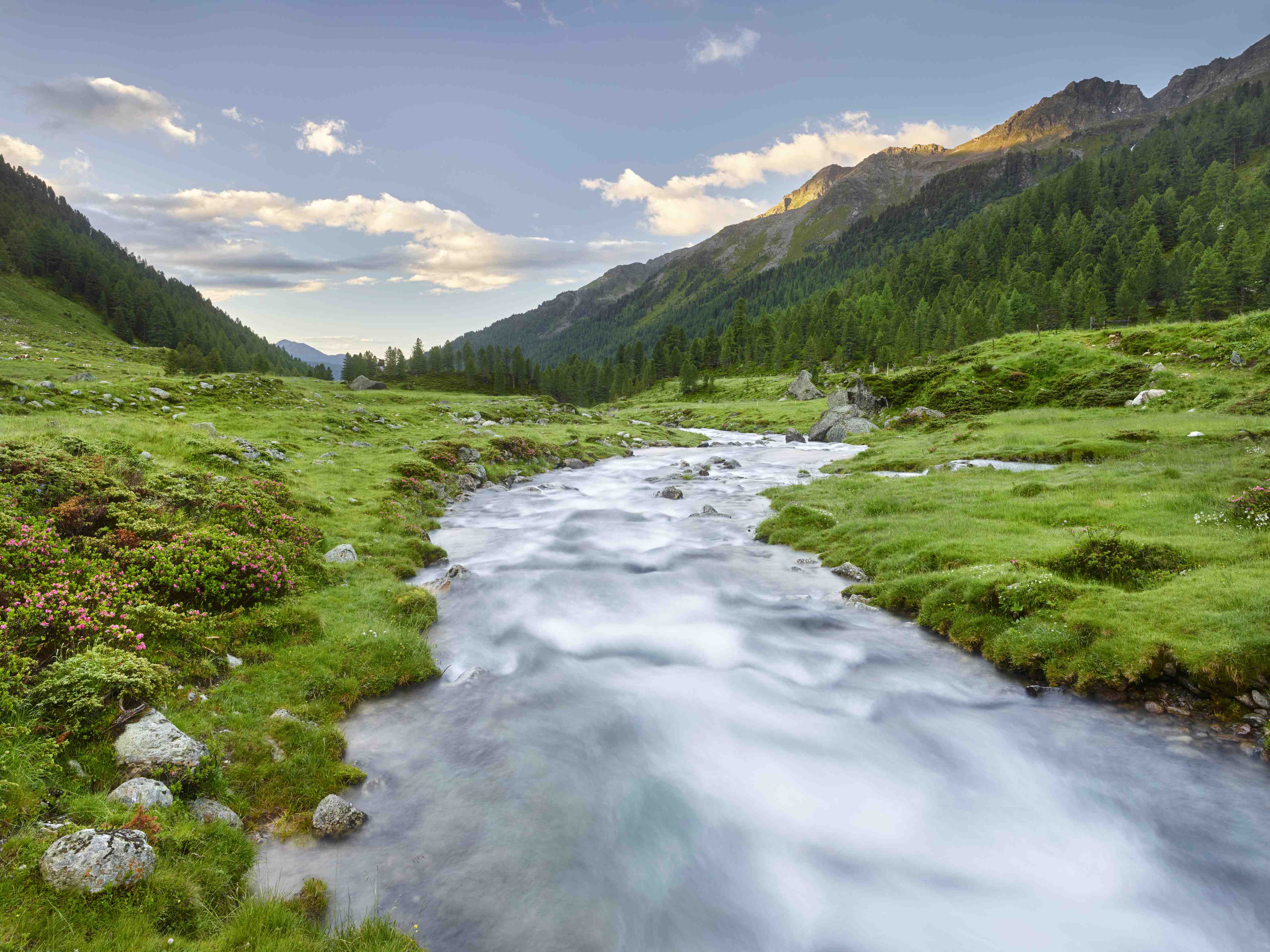 Wandverkleidung Bad-Idyllischer Bergfluss in grüner Natur