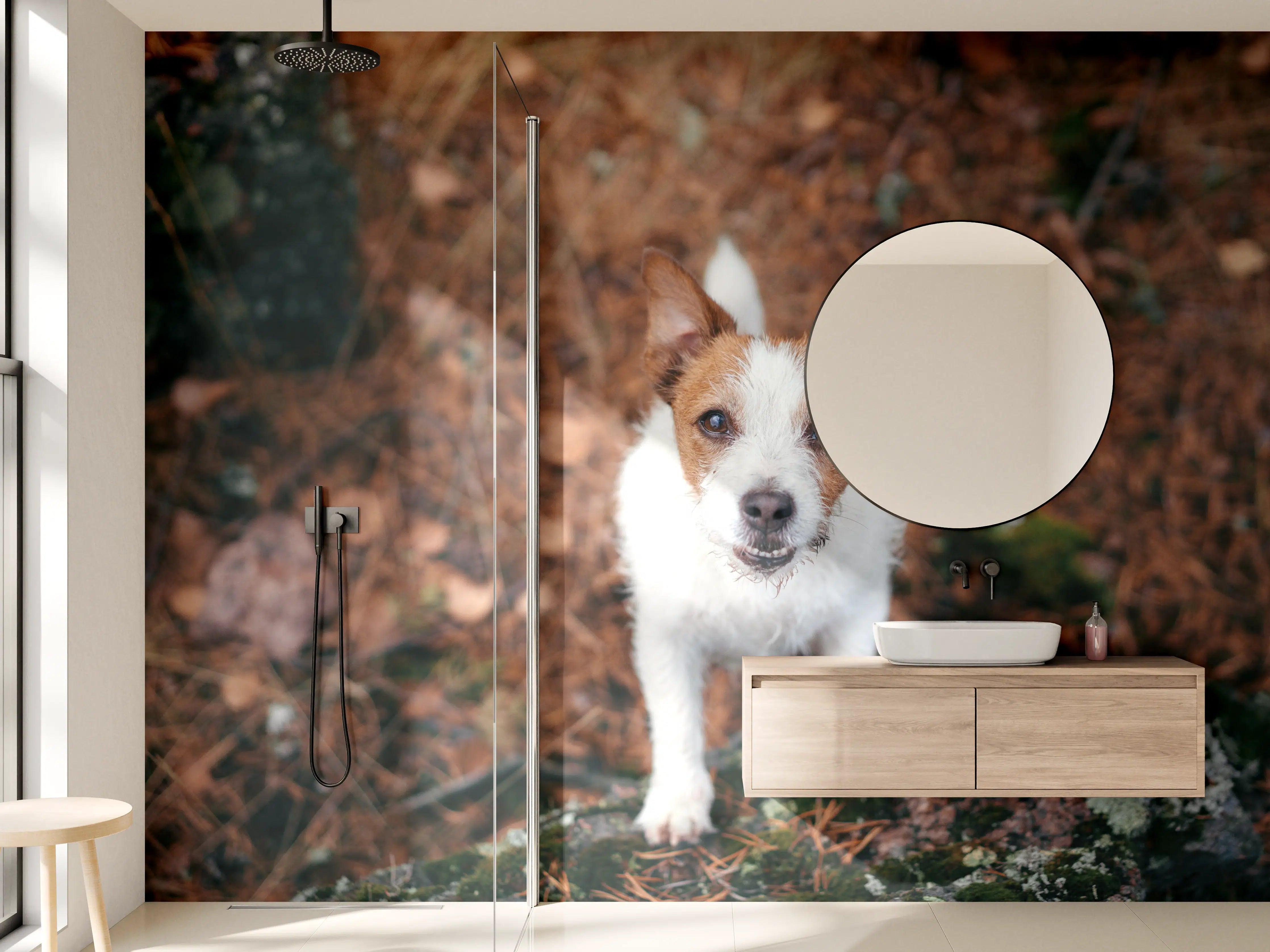 Wandverkleidung Bad - Jack Russell im herbstlichen Park