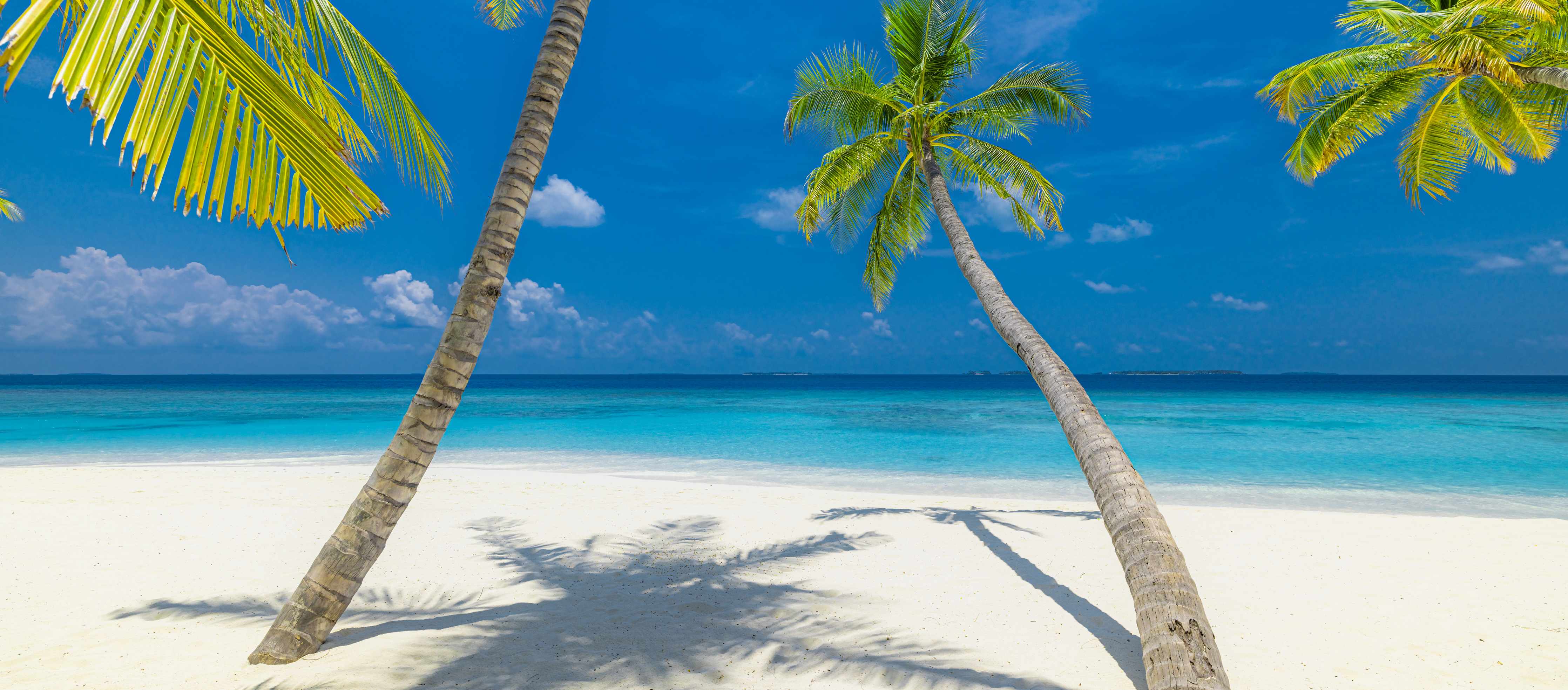 Wandverkleidung Bad-Karibischer Strand mit Palmen und türkisfarbenem Wasser