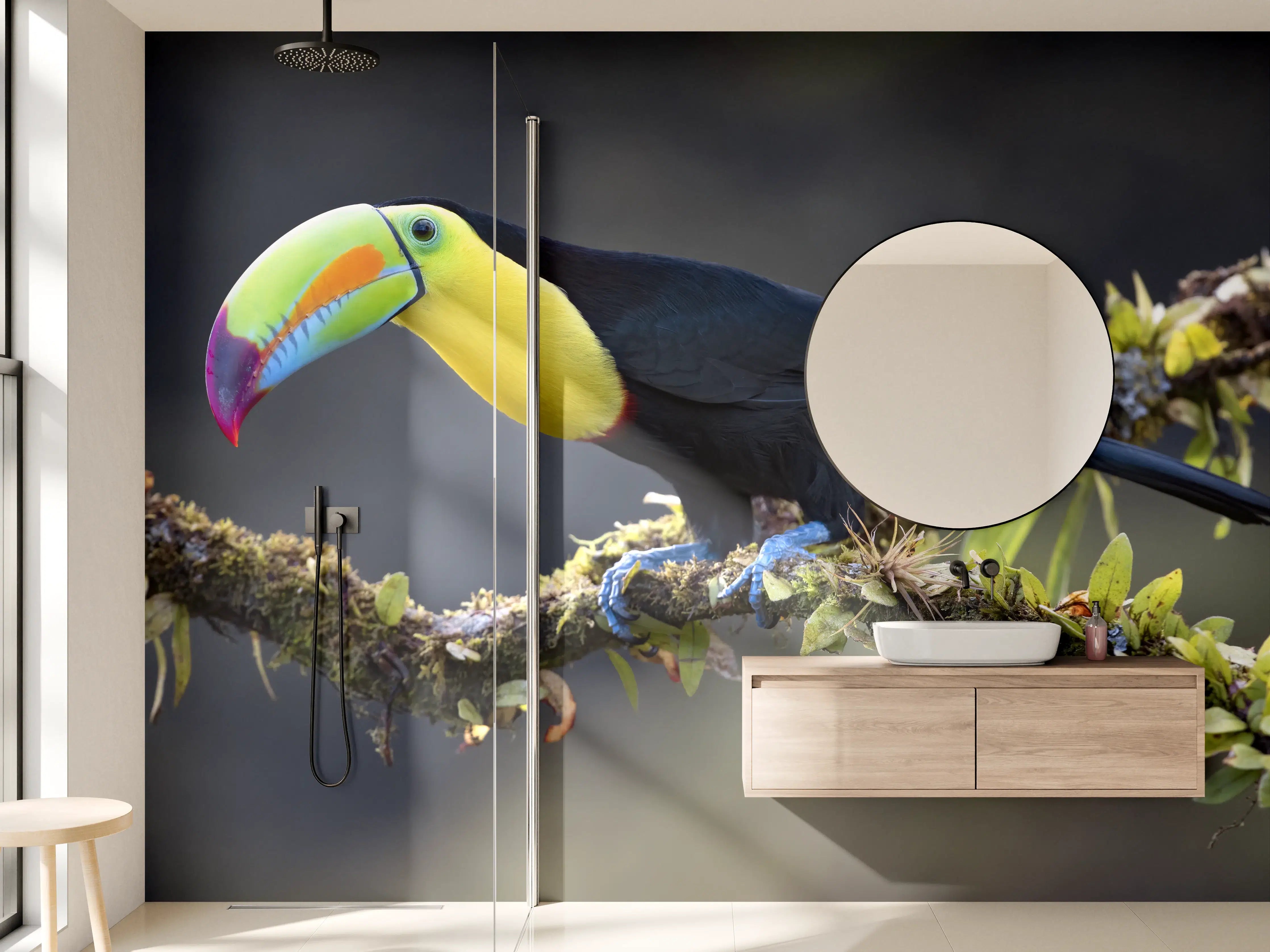 Wandverkleidung Bad - Kielschnabeltukan auf Ast