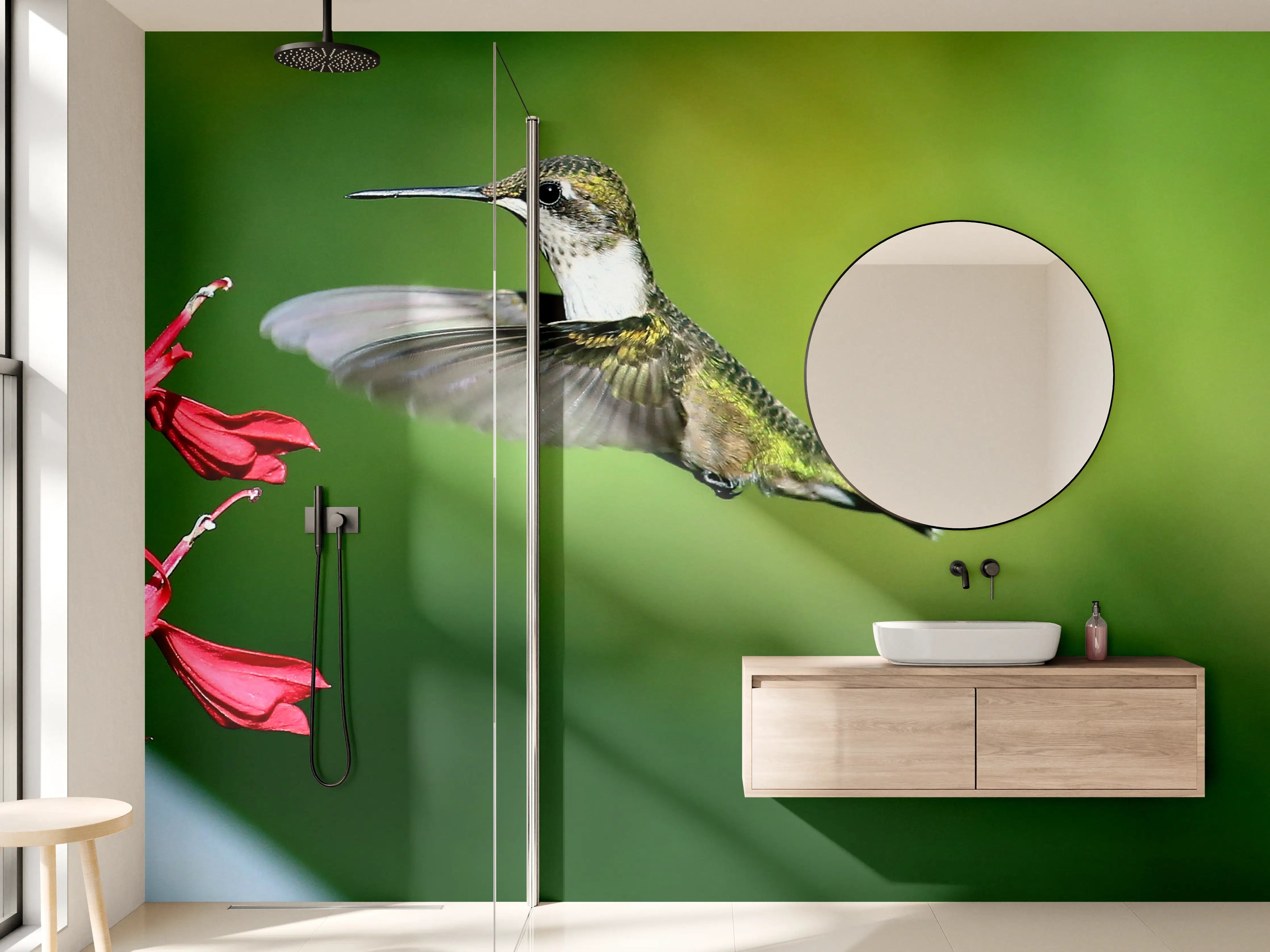Wandverkleidung Bad - Kolibri-Weibchen im Flug