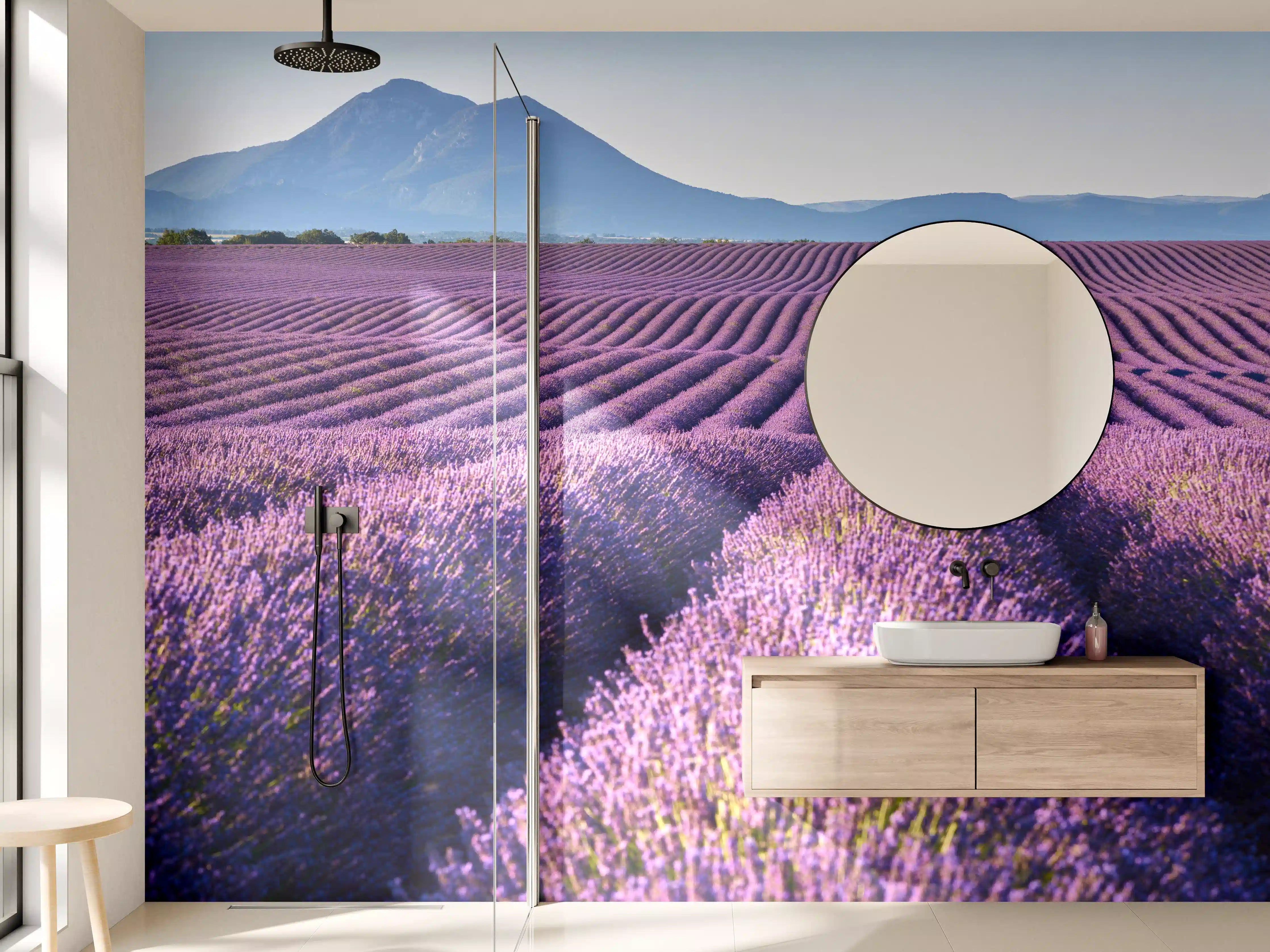 Wandverkleidung Bad - Lavendelfelder auf dem Plateau de Valensole
