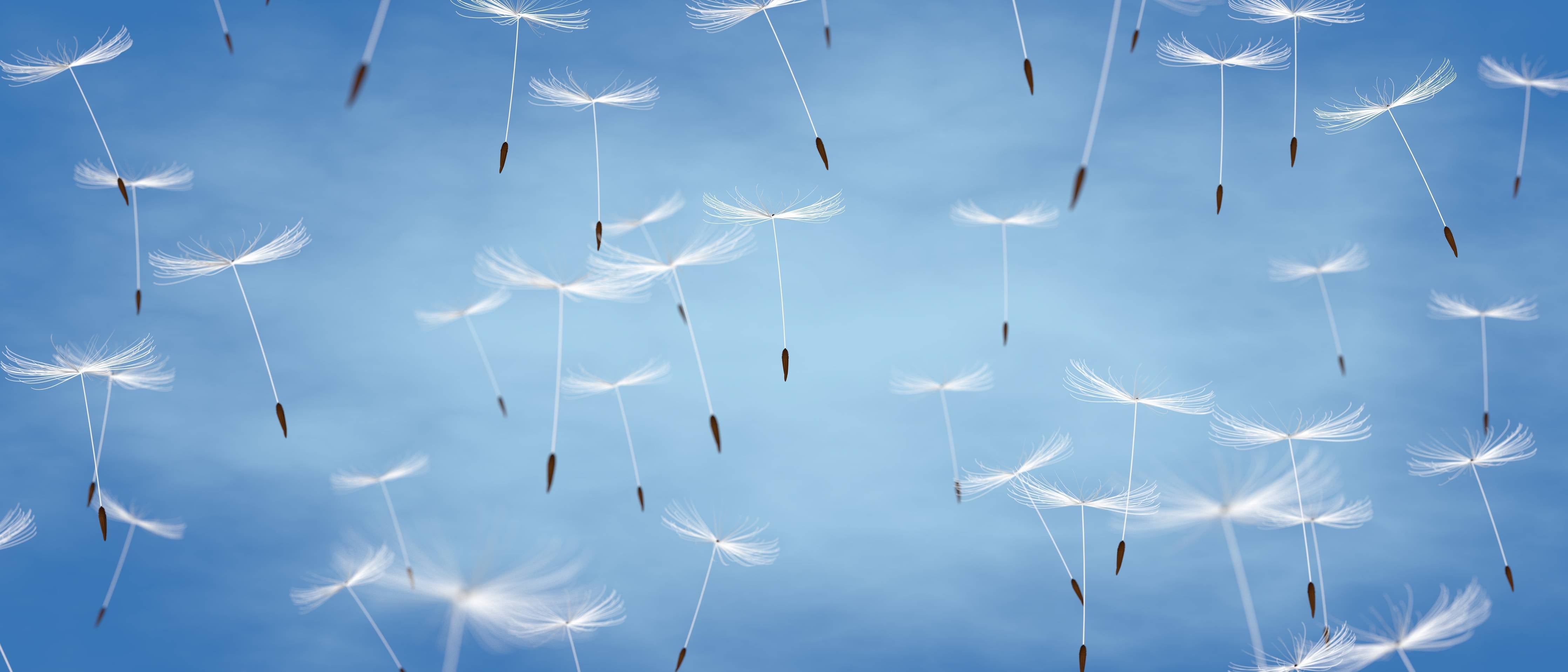 Wandverkleidung Bad-Leichtigkeit im Himmel mit Pusteblumen