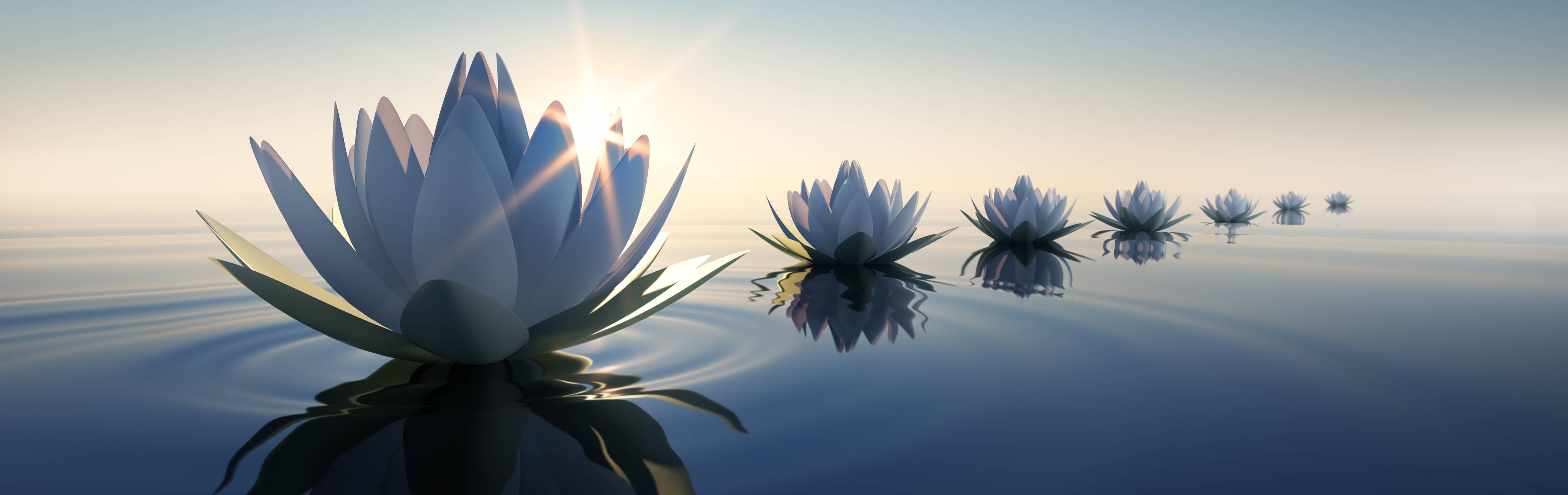 Wandverkleidung Bad-Lotosblumen auf ruhigem Wasser