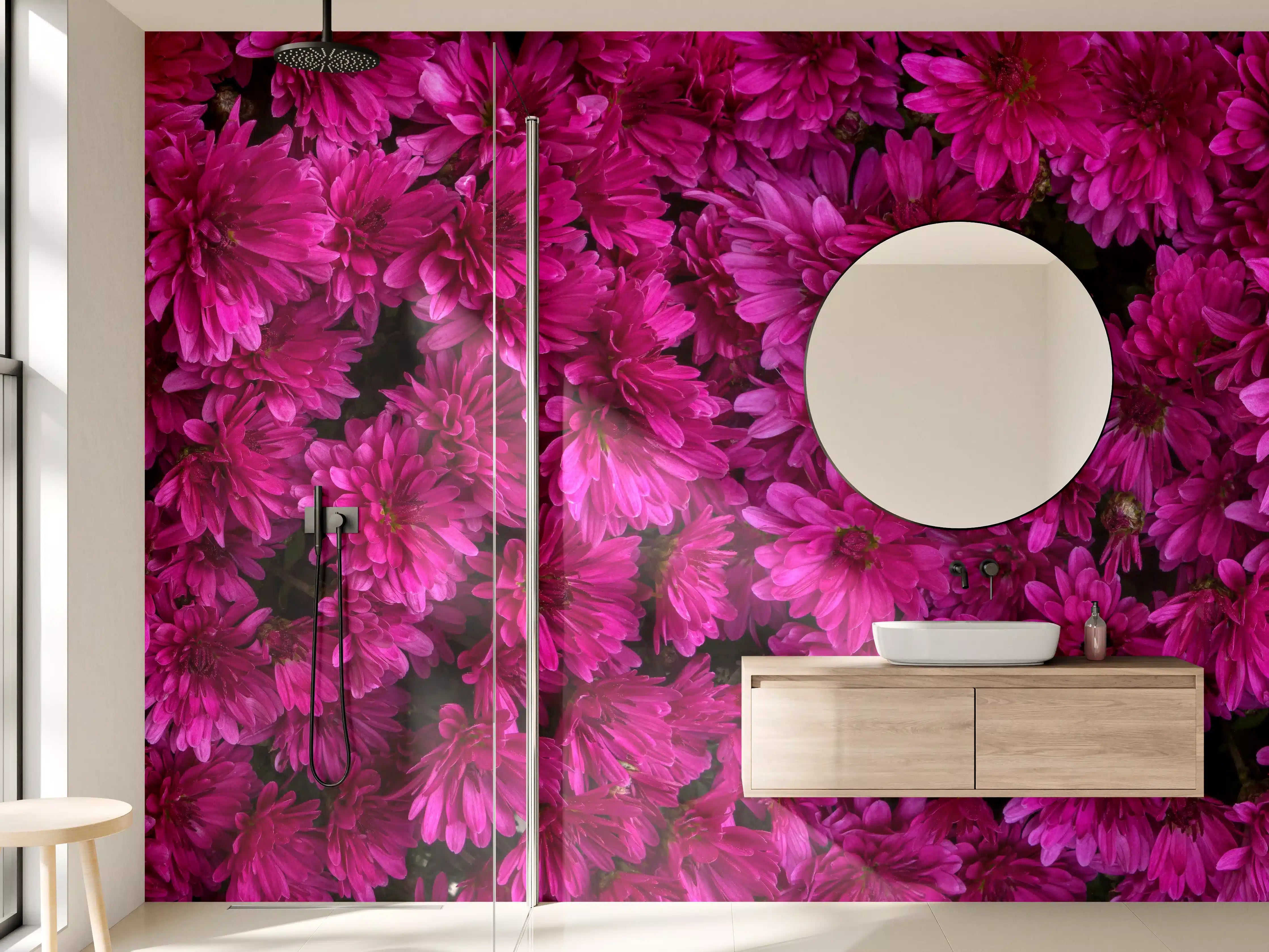 Wandverkleidung Bad - Magenta Blüten von Chrysanthemen