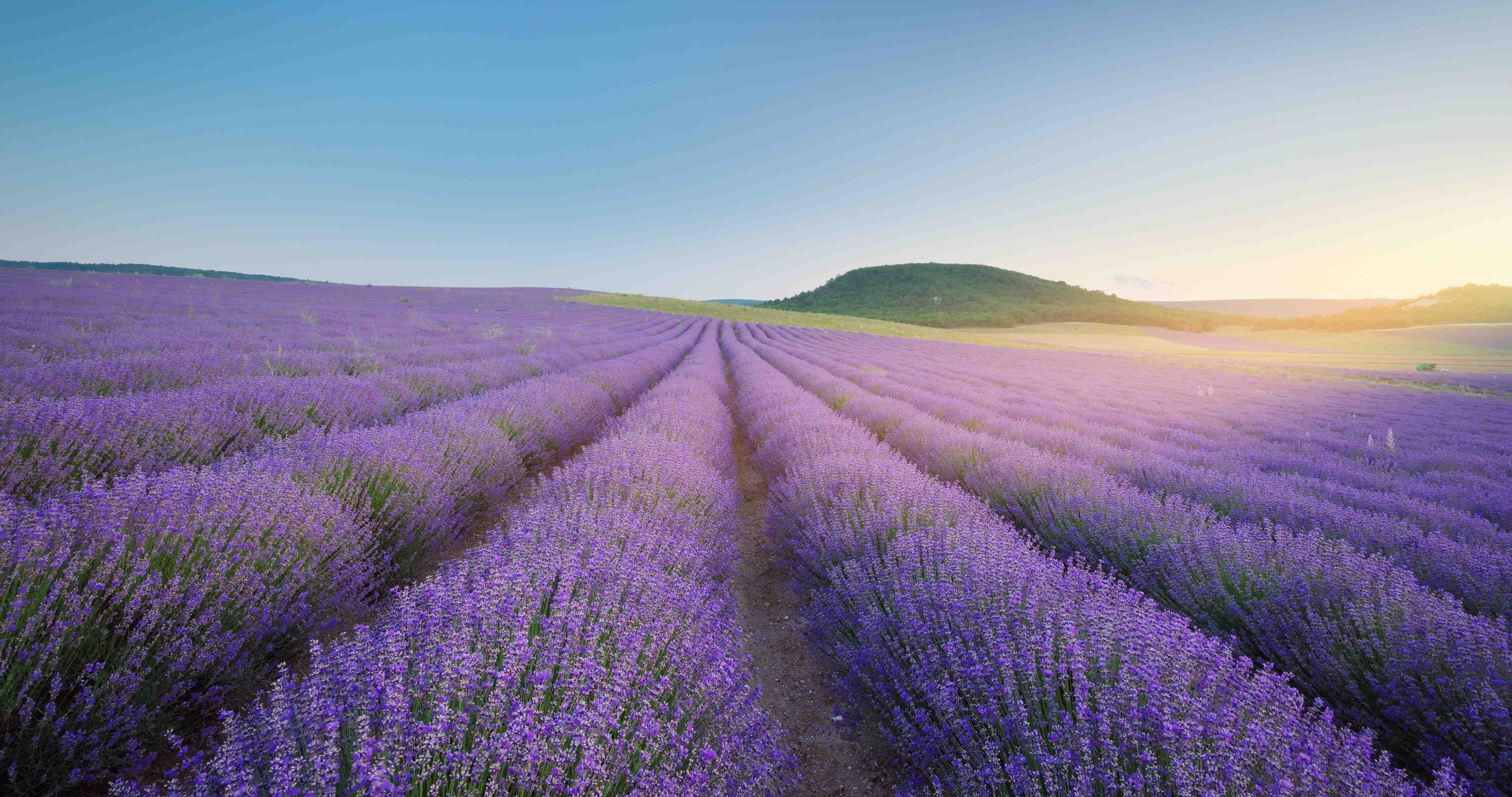 Wandverkleidung Bad-Morgenlicht im Lavendelgrau