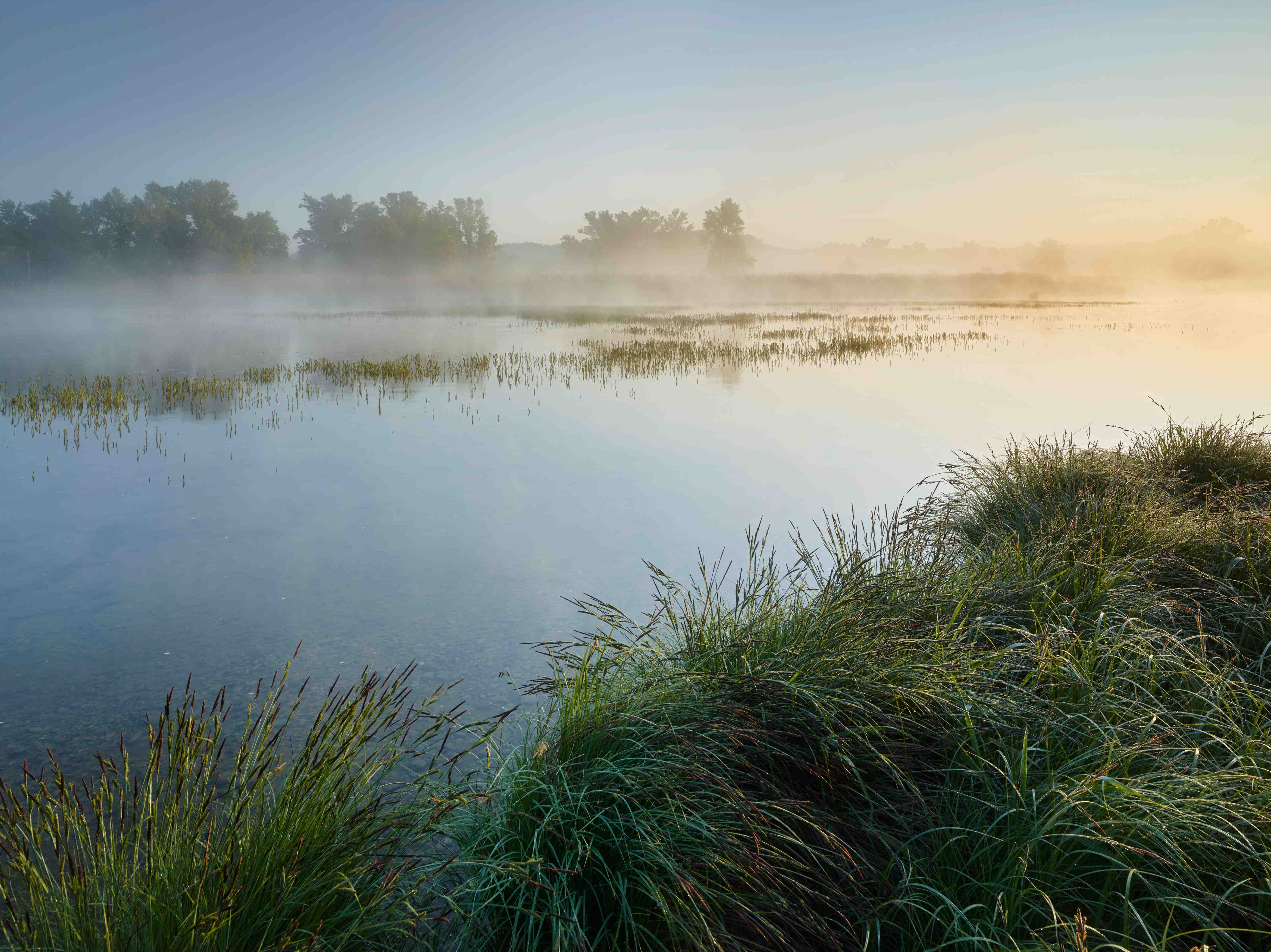 Wandverkleidung Bad-Morgennebel über der Natur