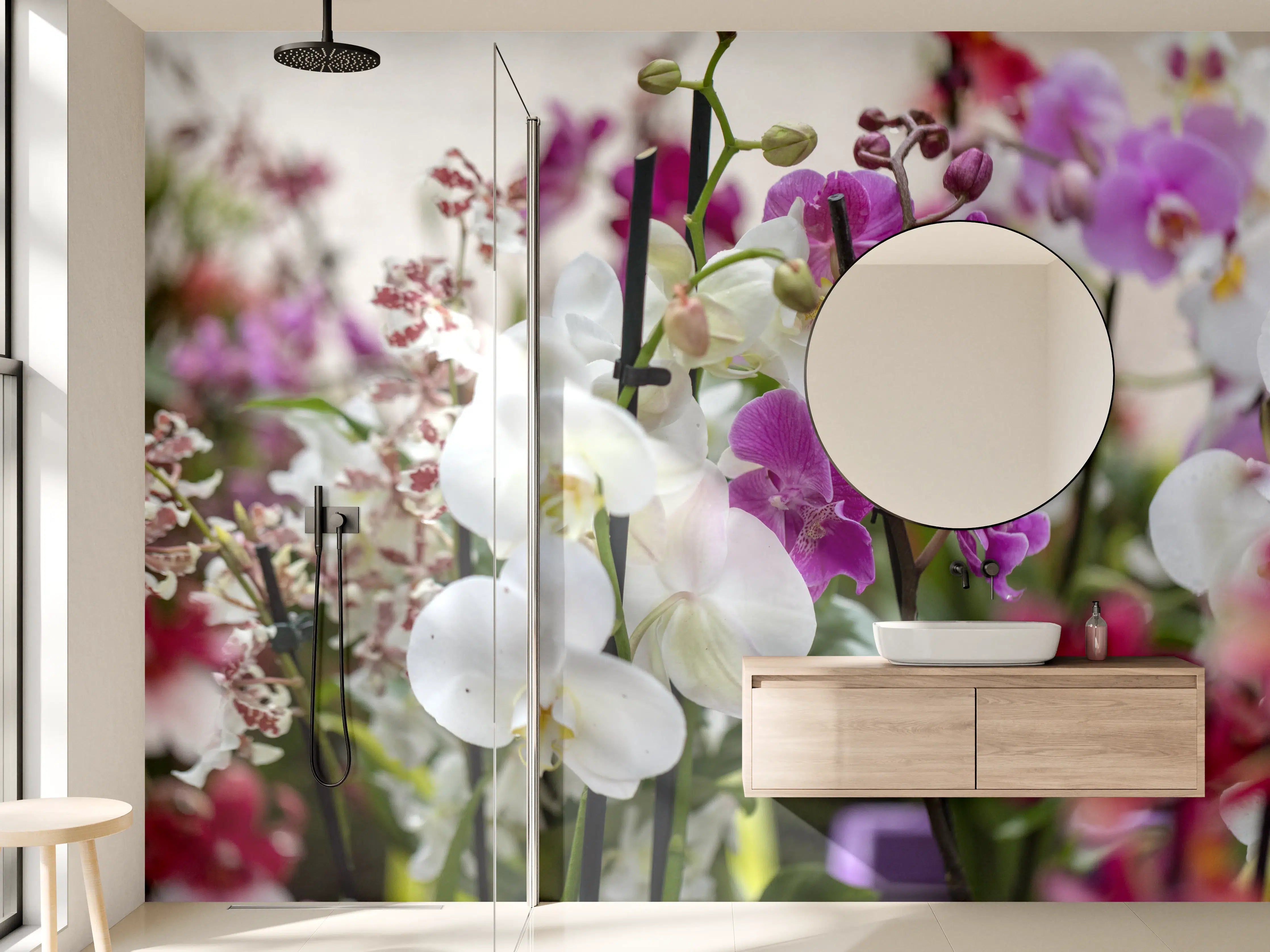 Wandverkleidung Bad - Nahaufnahme von bunten Orchideen