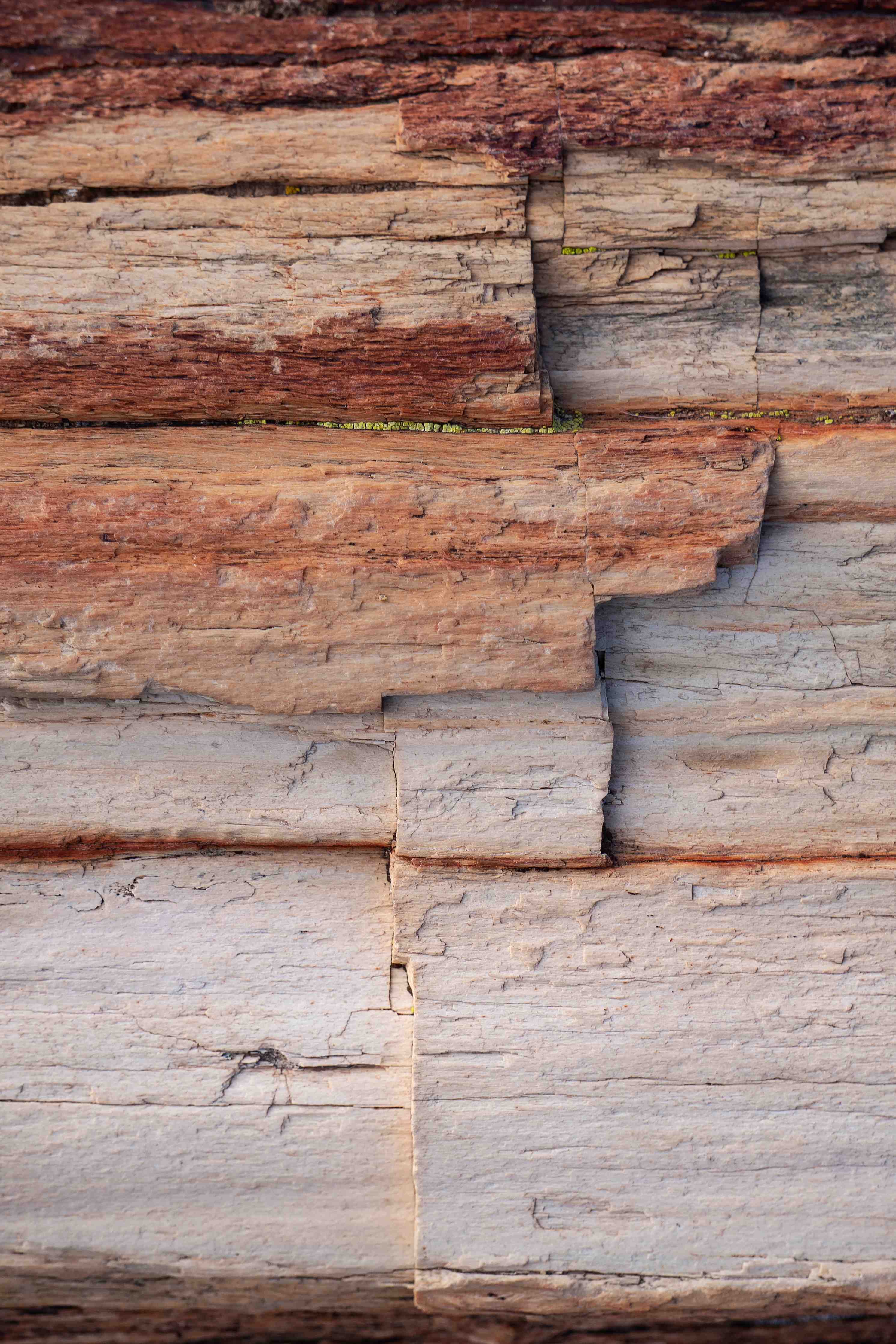 Wandverkleidung Bad-Natürliche Holz- und Graunuancen