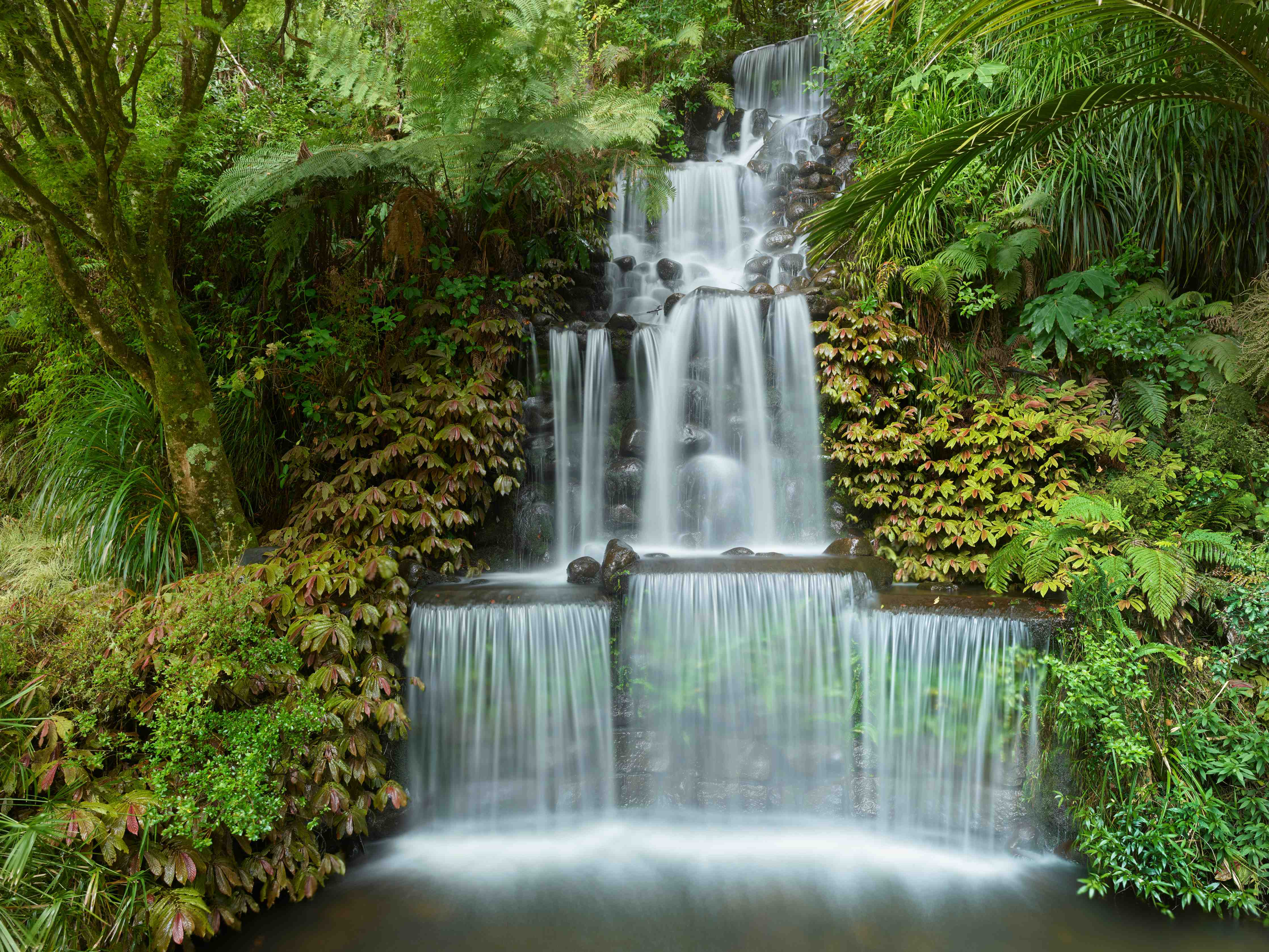 Wandverkleidung Bad-Naturwasserfall in üppigem Grün