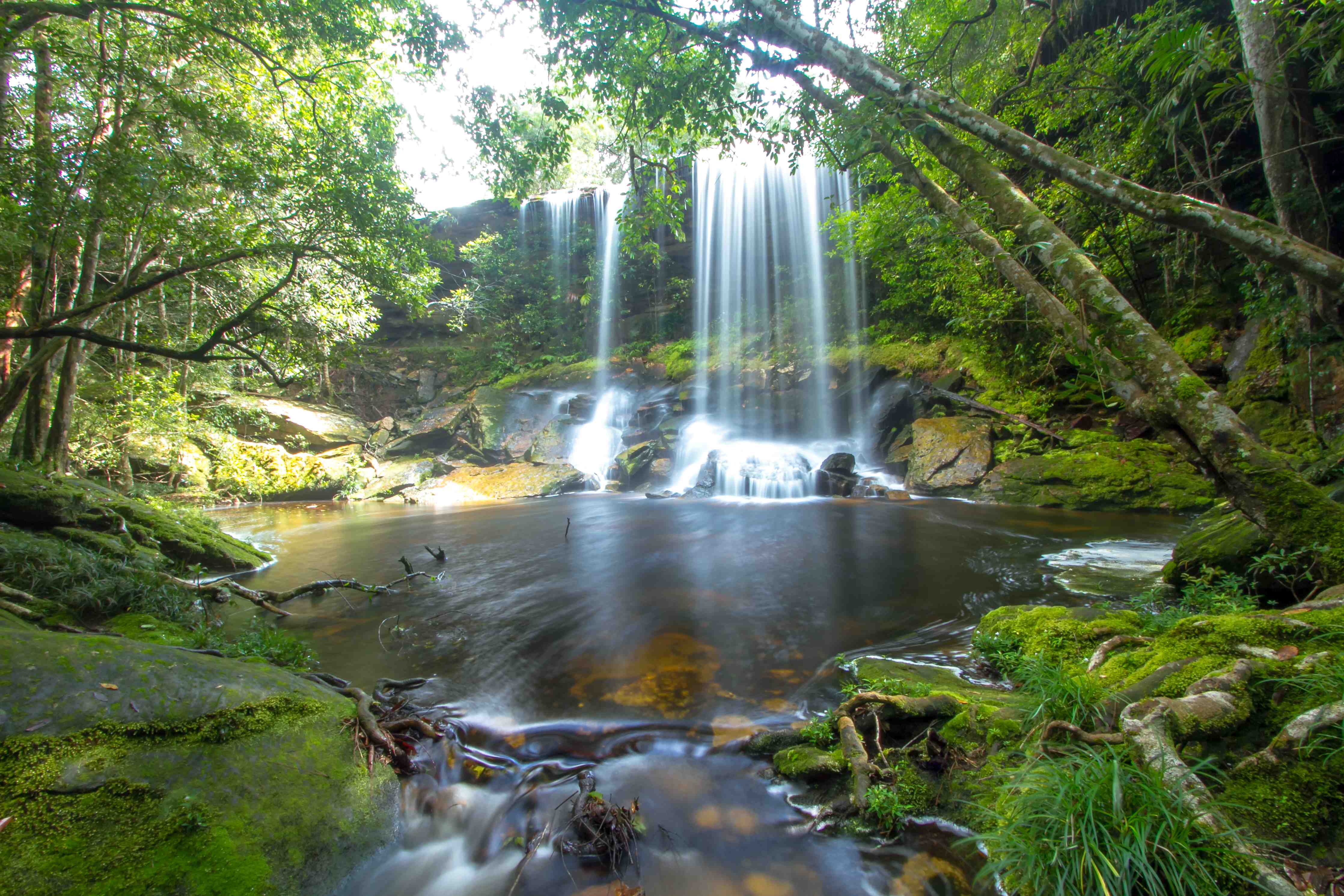 Wandverkleidung Bad-Naturwasserfall mit grüner Umgebung