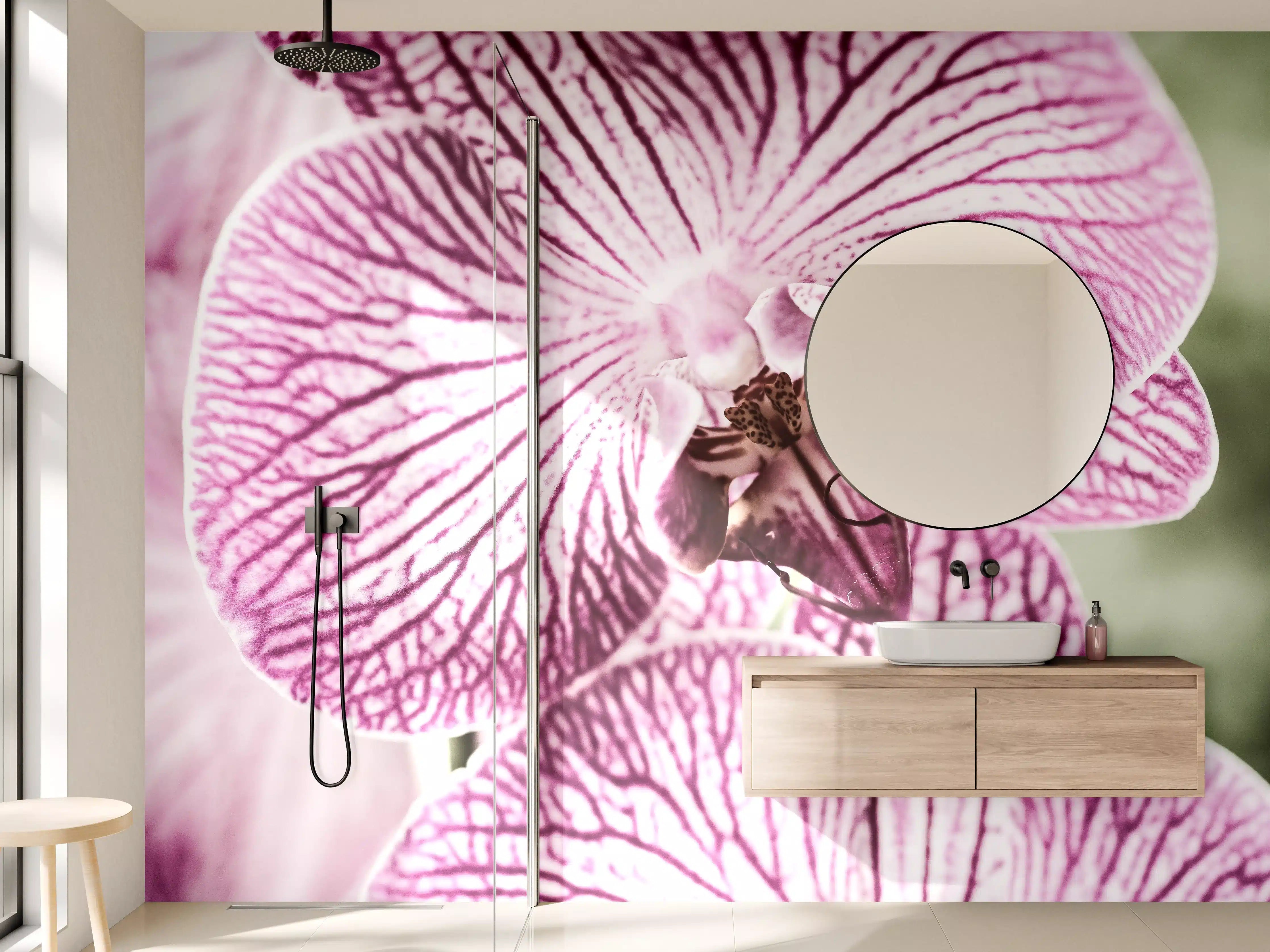 Wandverkleidung Bad - Orchideen Makro Pink-Lila