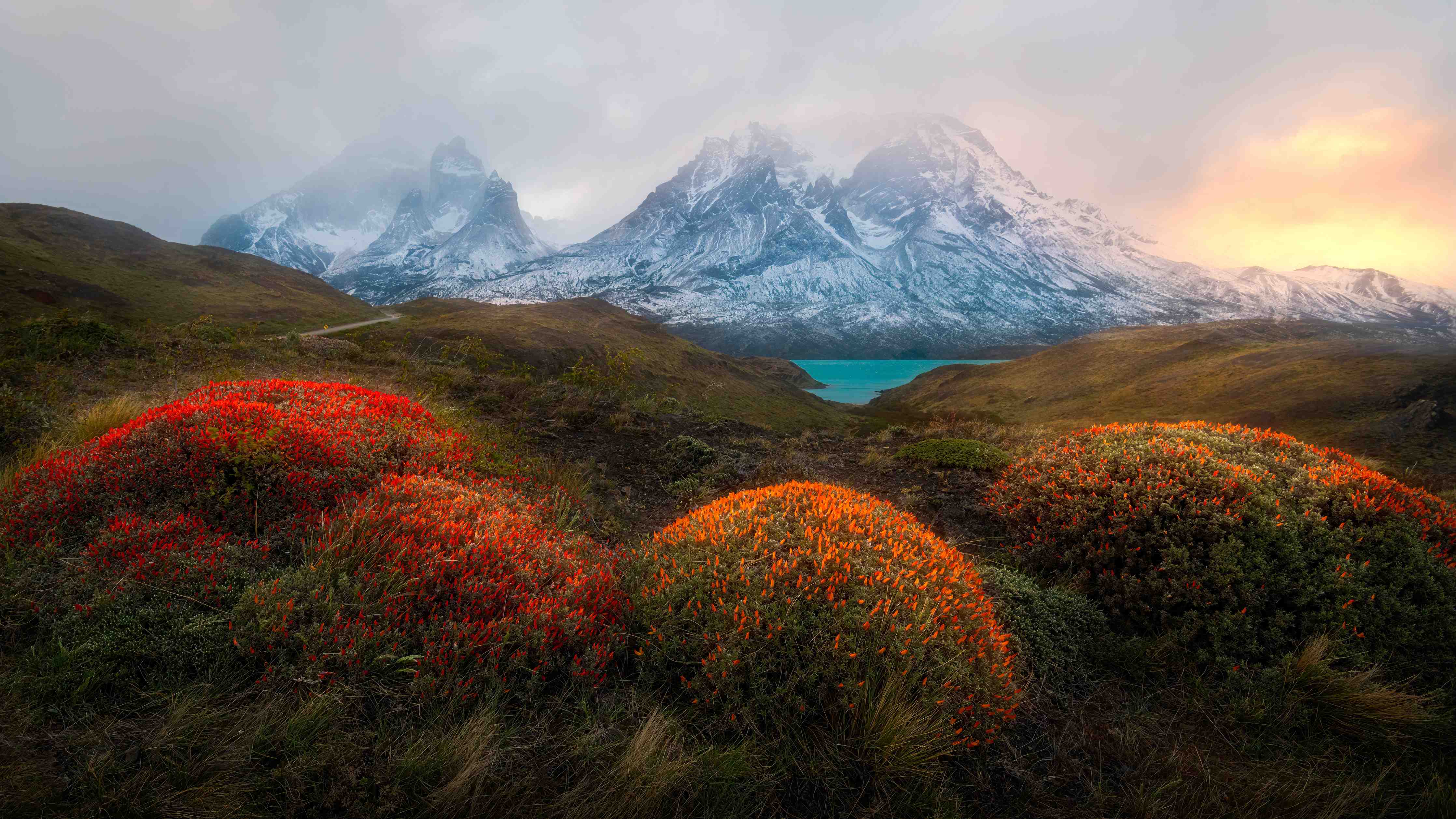 Wandverkleidung Bad-Patagonia Bergpanorama im Frühling