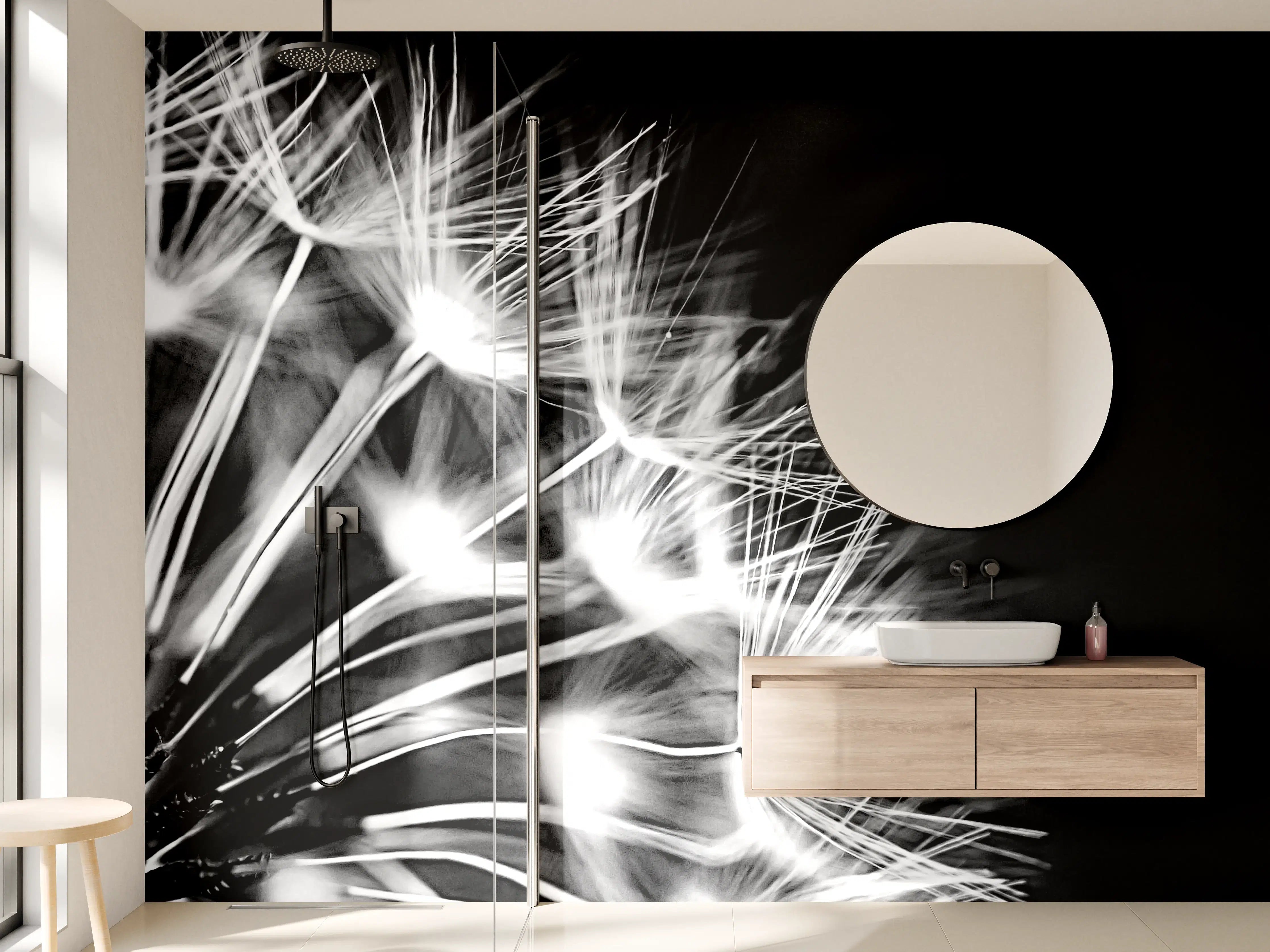 Wandverkleidung Bad - Pusteblumen schwarz-weiß Hintergrund