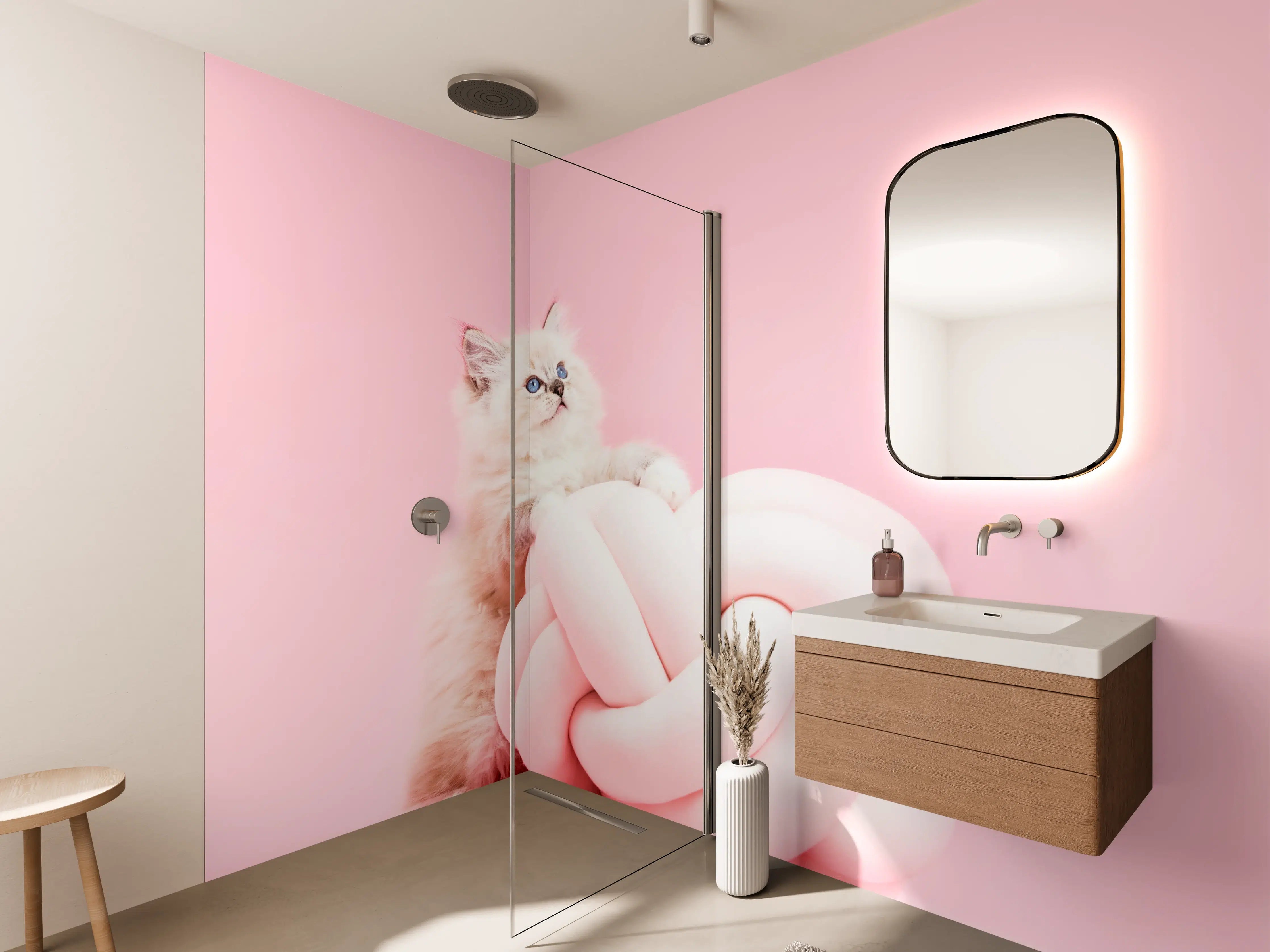 Wandverkleidung Bad - Ragdoll Katze auf Pinken Hintergrund