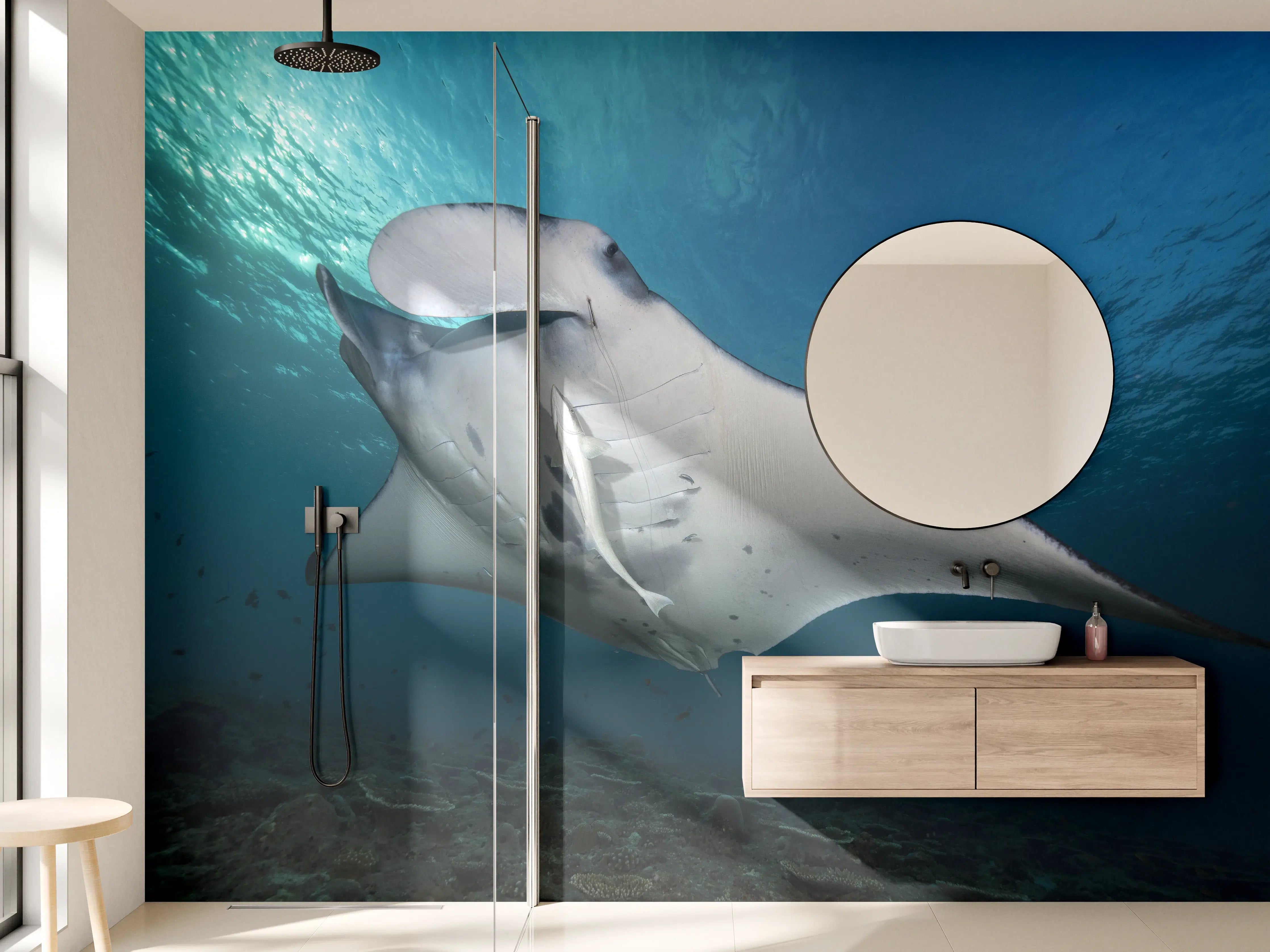 Wandverkleidung Bad - Riff-Manta Unterwasser