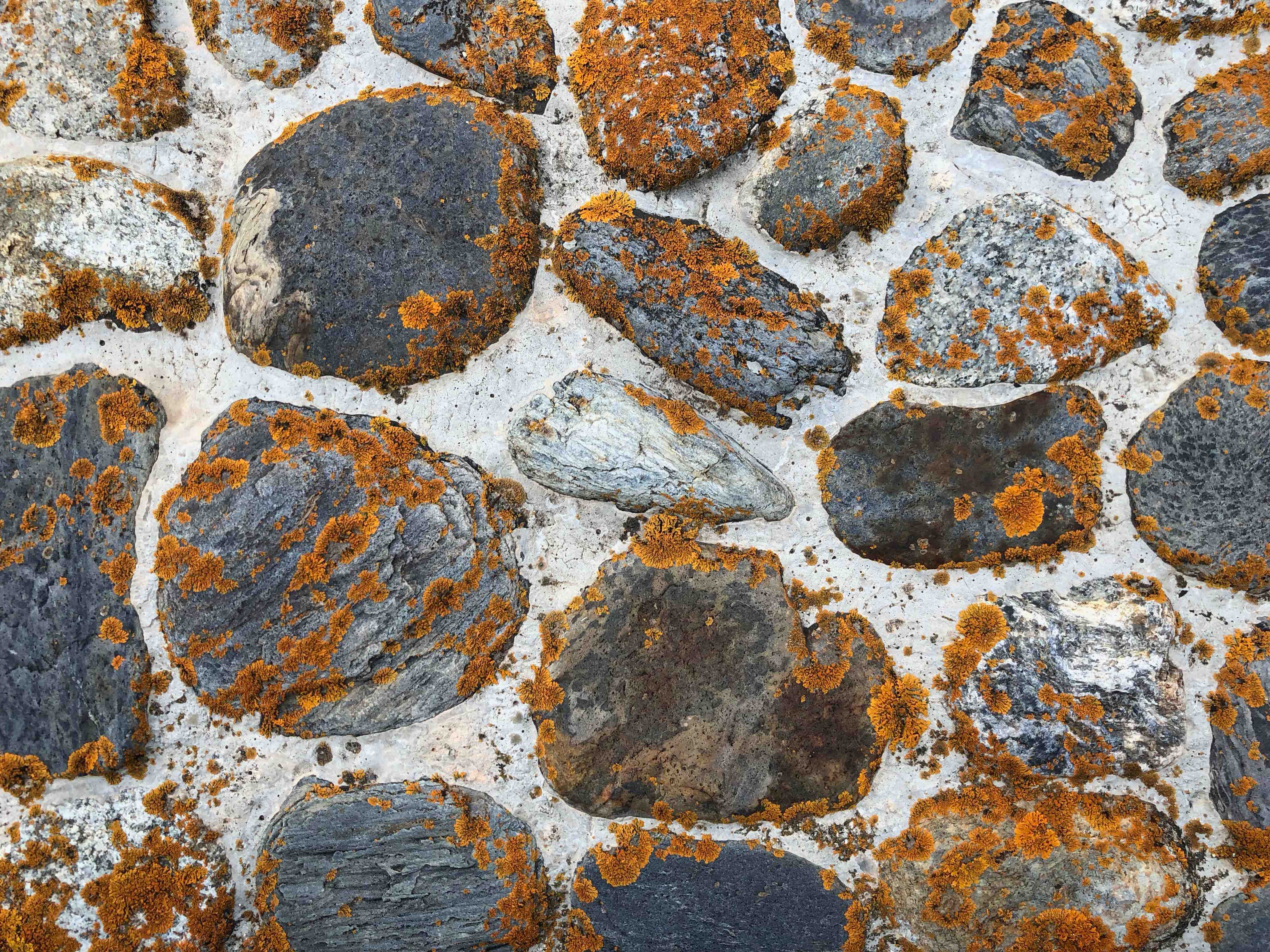 Wandverkleidung Bad-Rustikale Steine mit Moosflecken