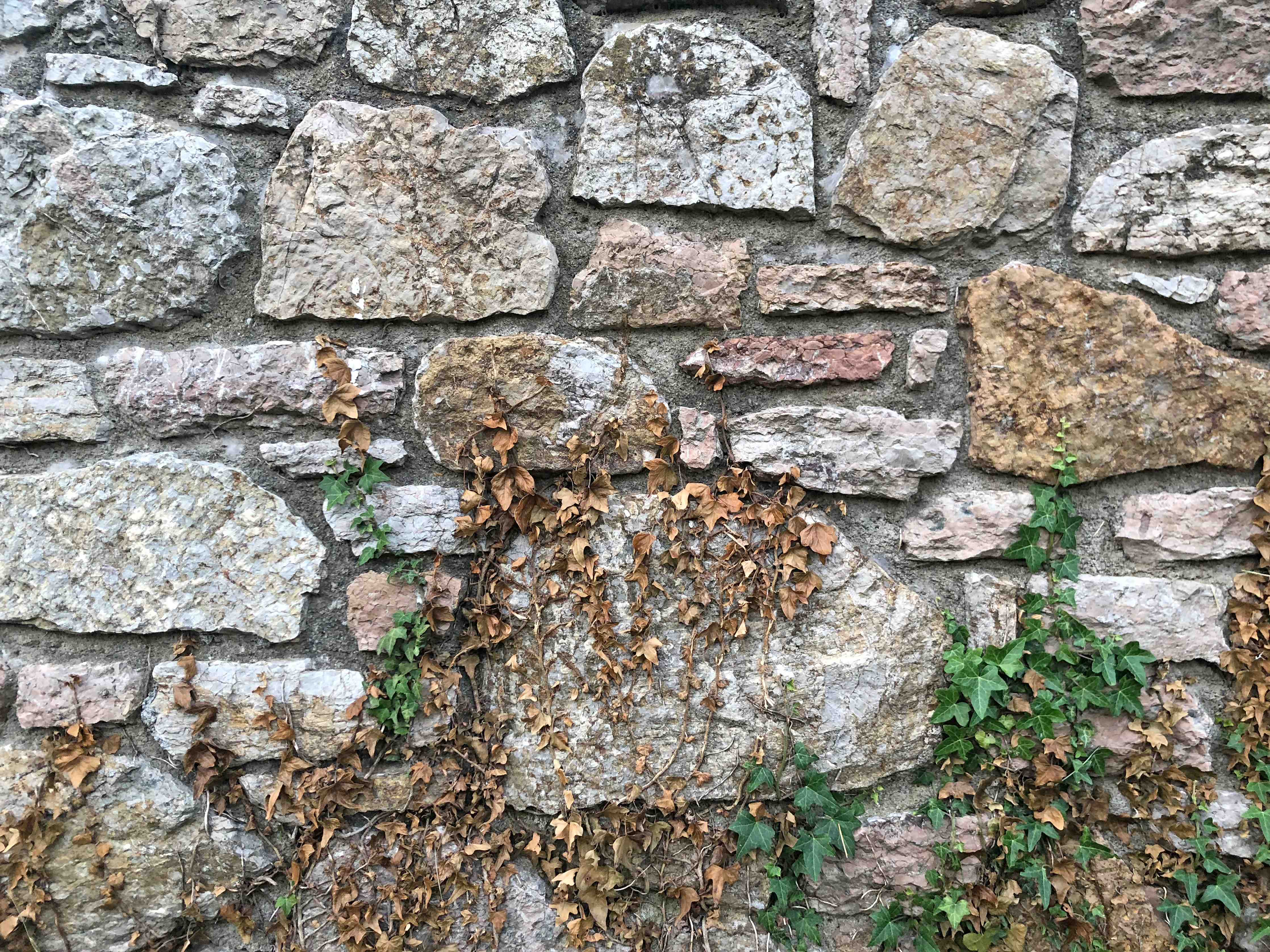 Wandverkleidung Bad-Rustikale Steinwand mit grünen Pflanzenakzenten