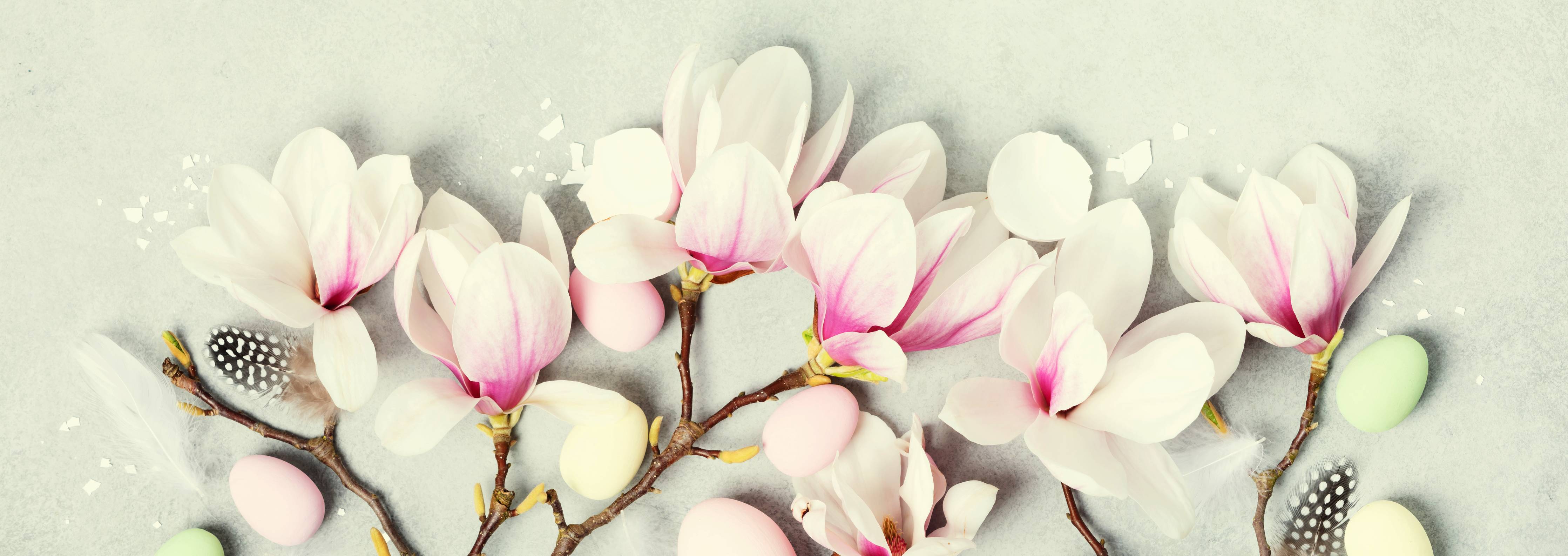 Wandverkleidung Bad-Sanfte Magnolia-Blüten in Pastellfarben