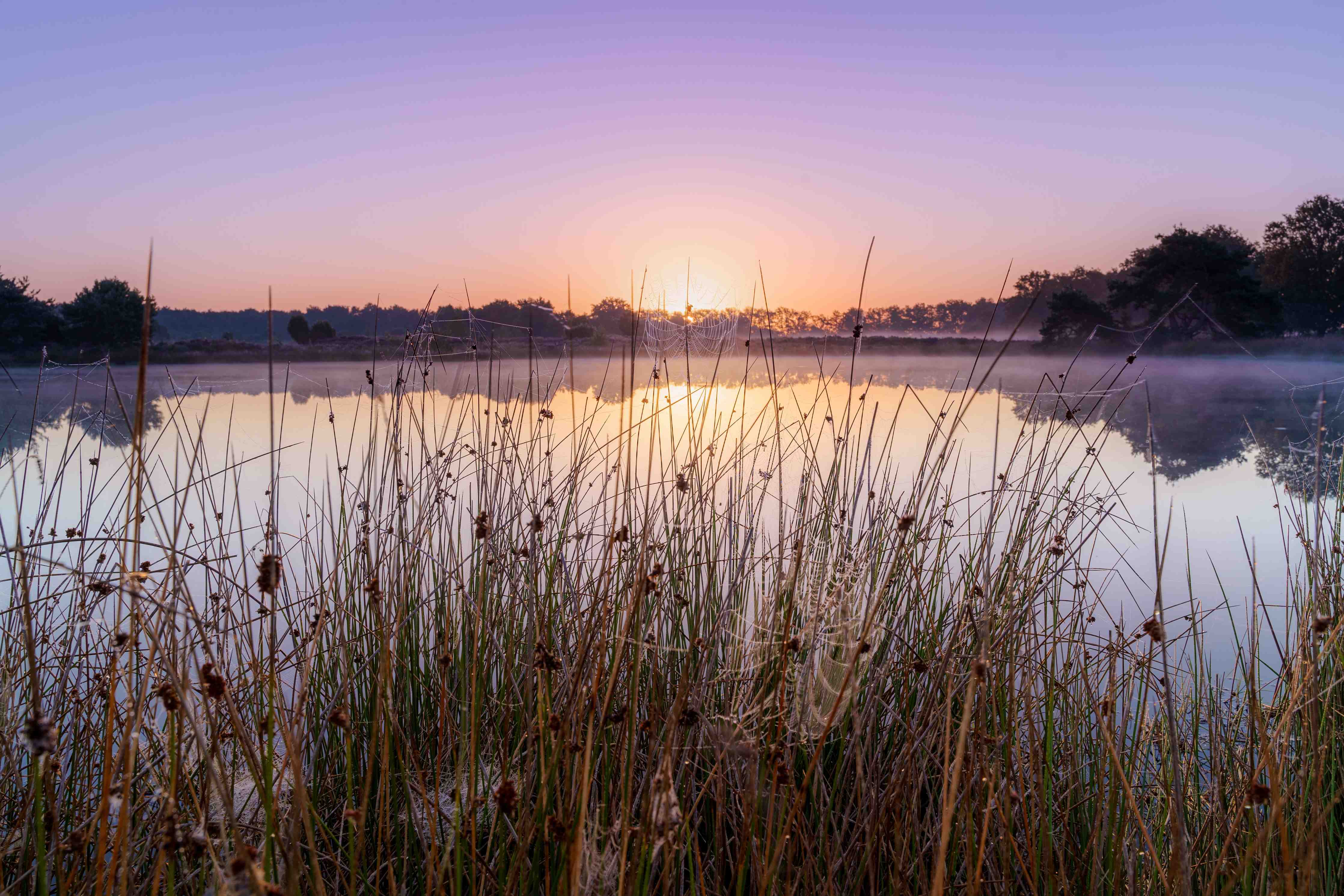 Wandverkleidung Bad-Sanftes Morgenlicht über dem See