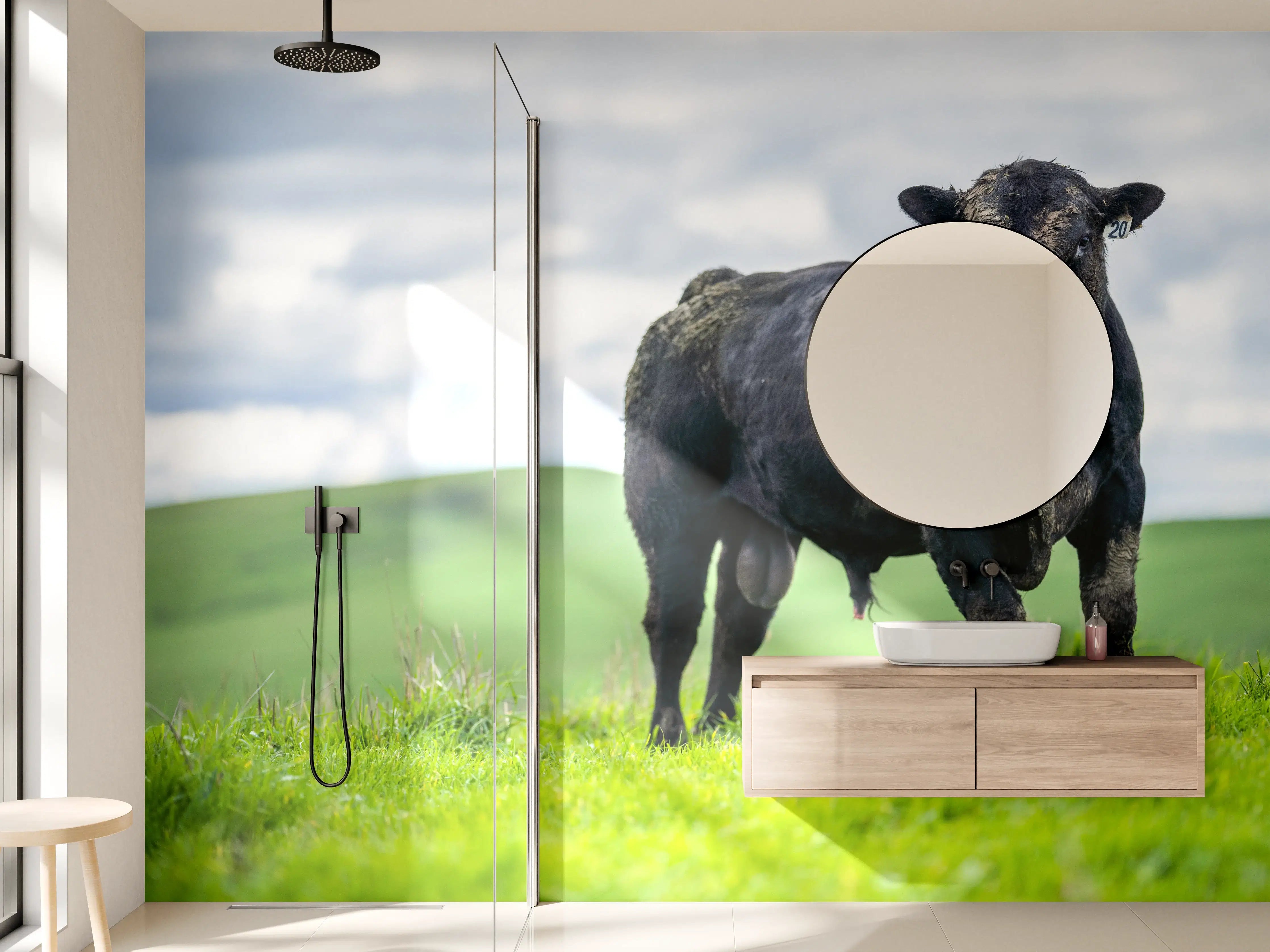 Wandverkleidung Bad - Schmutziger Aberdeen Angus