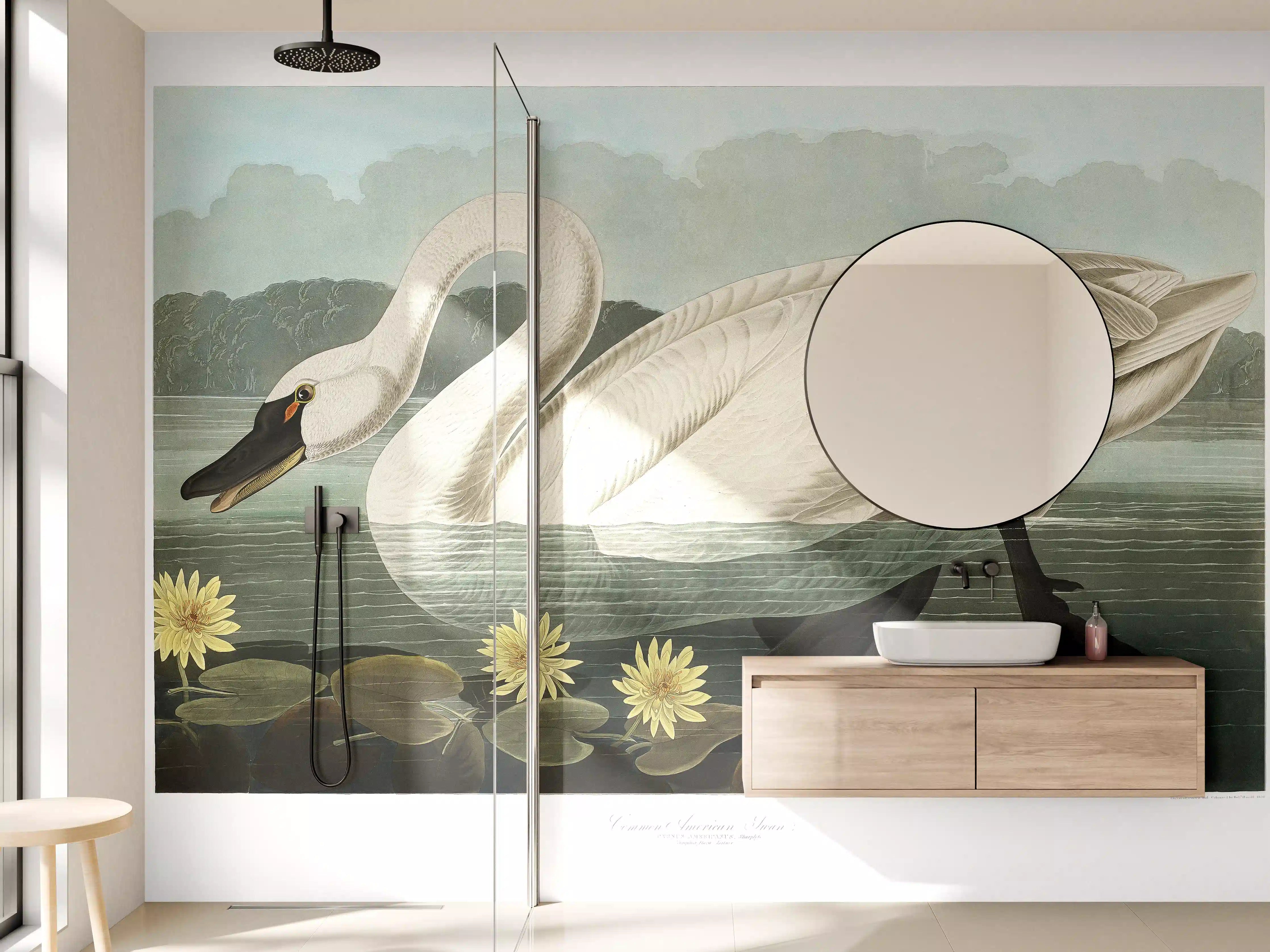 Wandverkleidung Bad - Schwan Portait - Robert Havell
