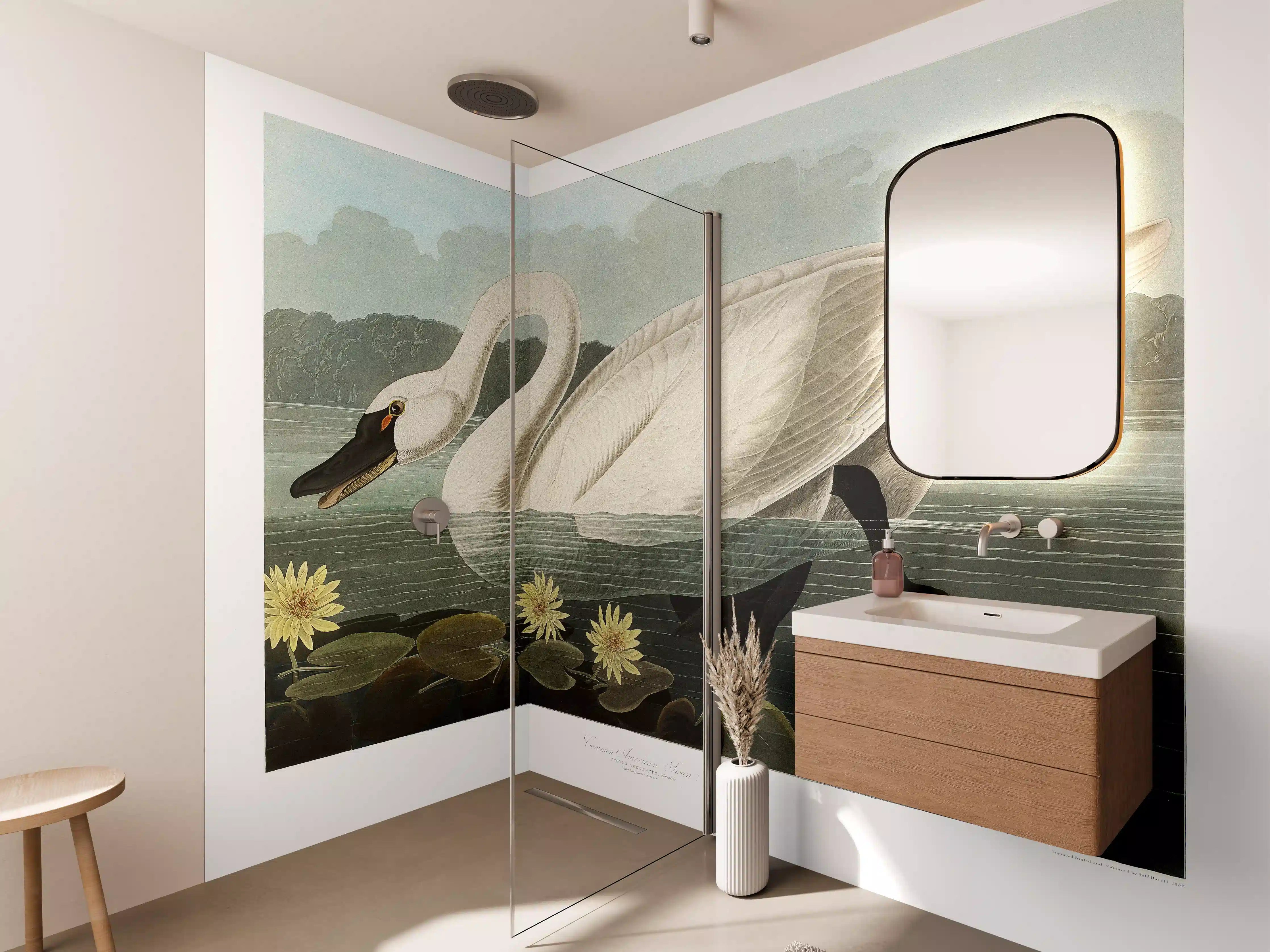 Wandverkleidung Bad - Schwan Portait - Robert Havell