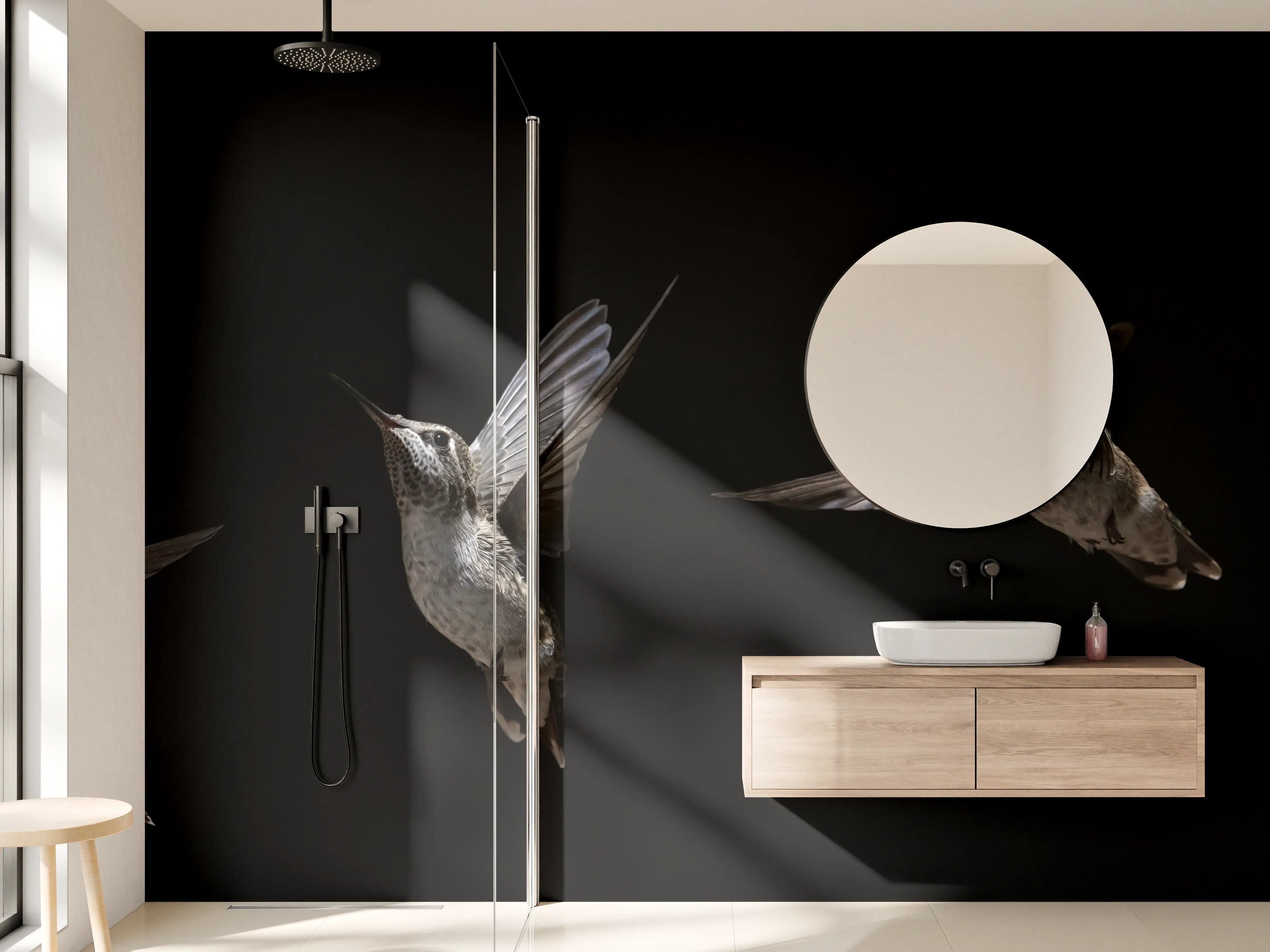 Wandverkleidung Bad - Schwarzkinnkolibri Vogel mit Schwarzem Hintergrund
