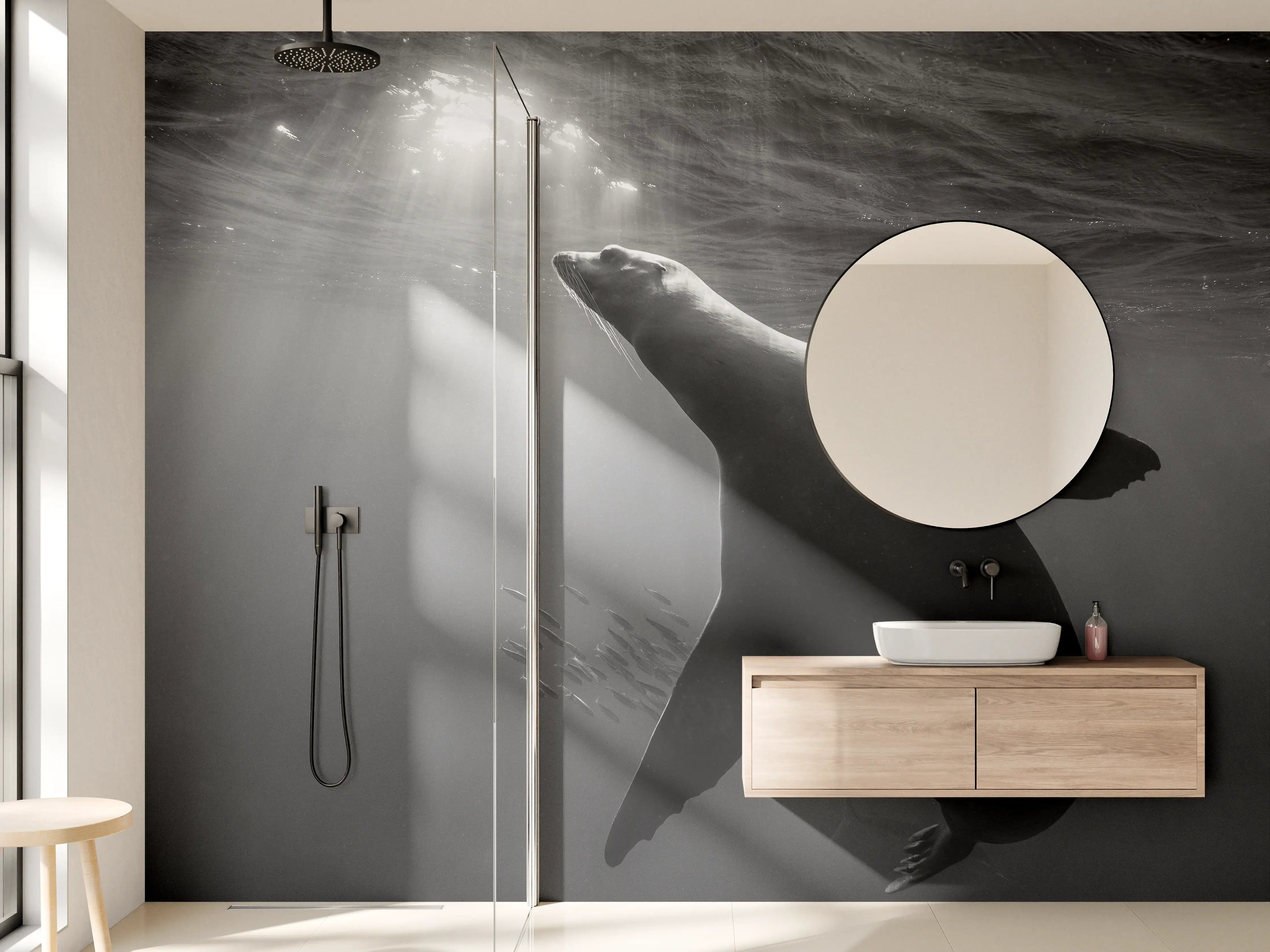 Wandverkleidung Bad - Seelöwe beim Fressen von Sardinen