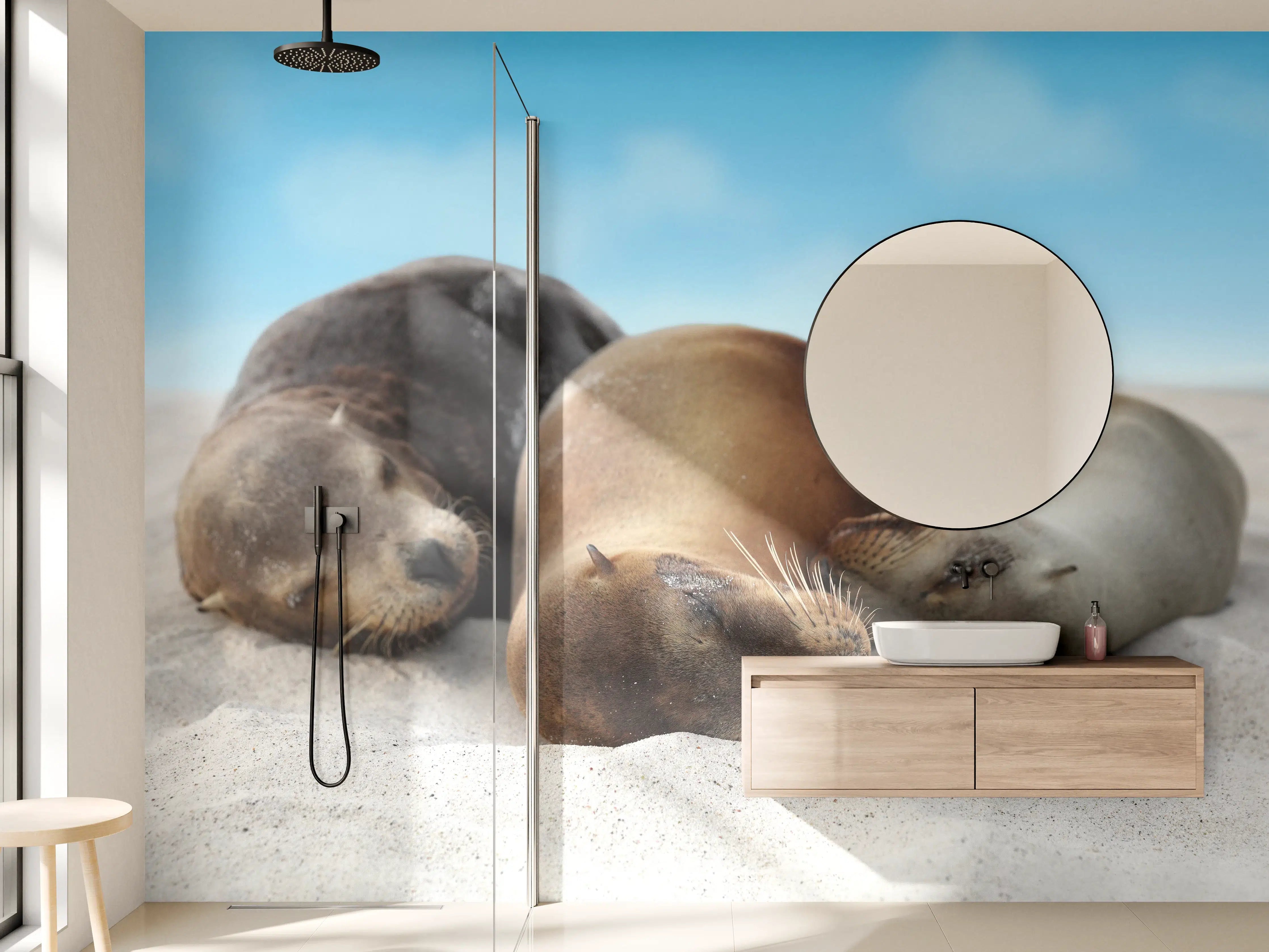Wandverkleidung Bad - Seelöwen im Sand liegend