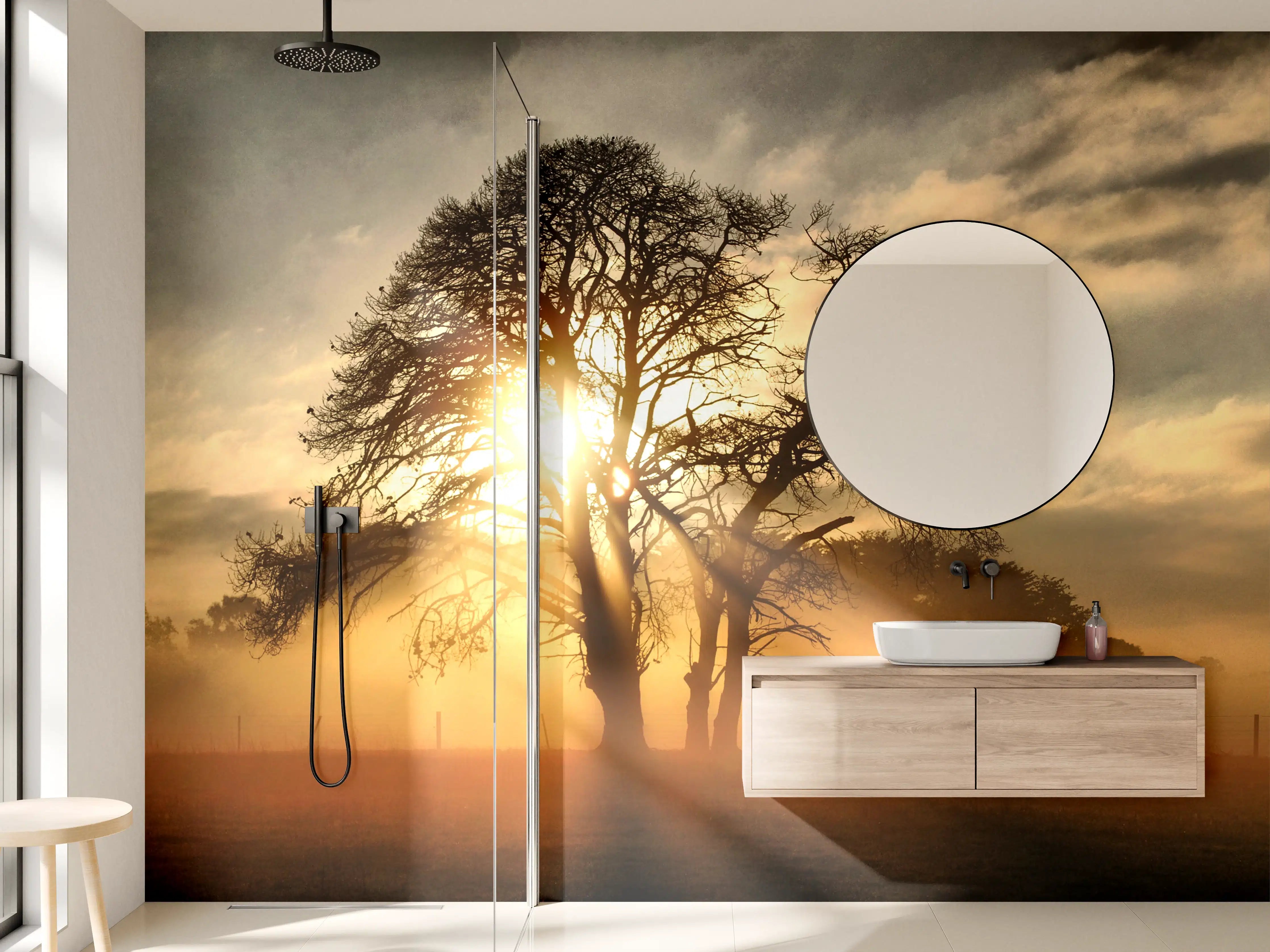 Wandverkleidung Bad - Sonnenaufgang hinter alten Baumästen