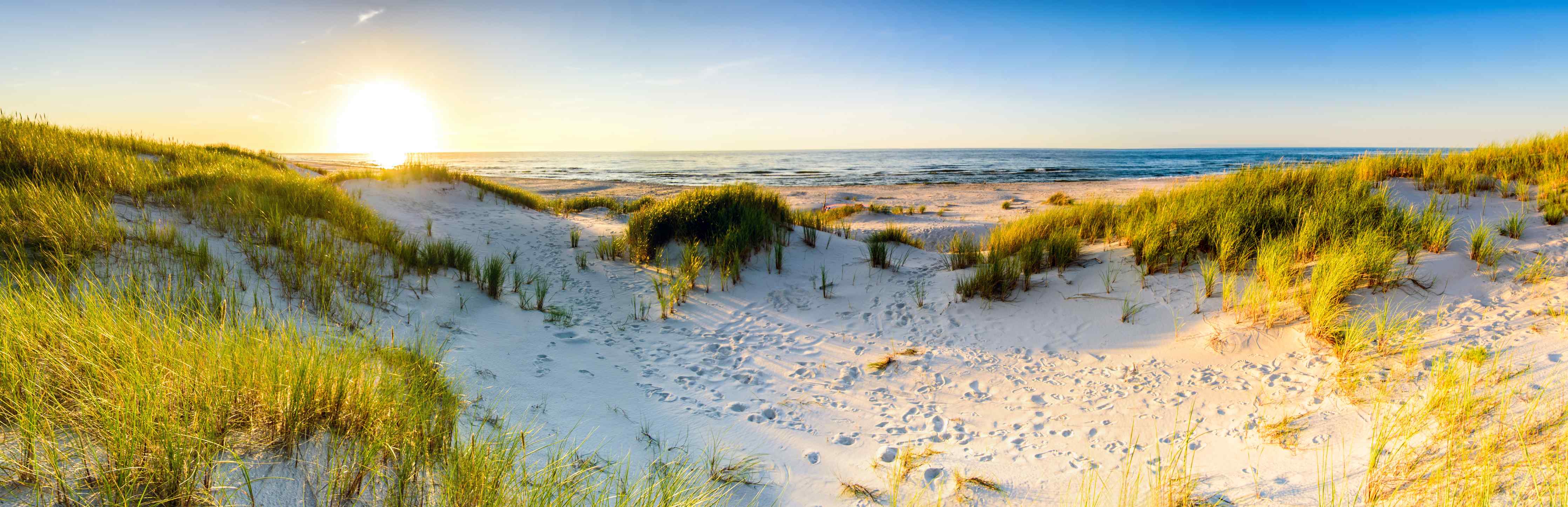 Wandverkleidung Bad-Sonnenaufgang über Dünen am Meer